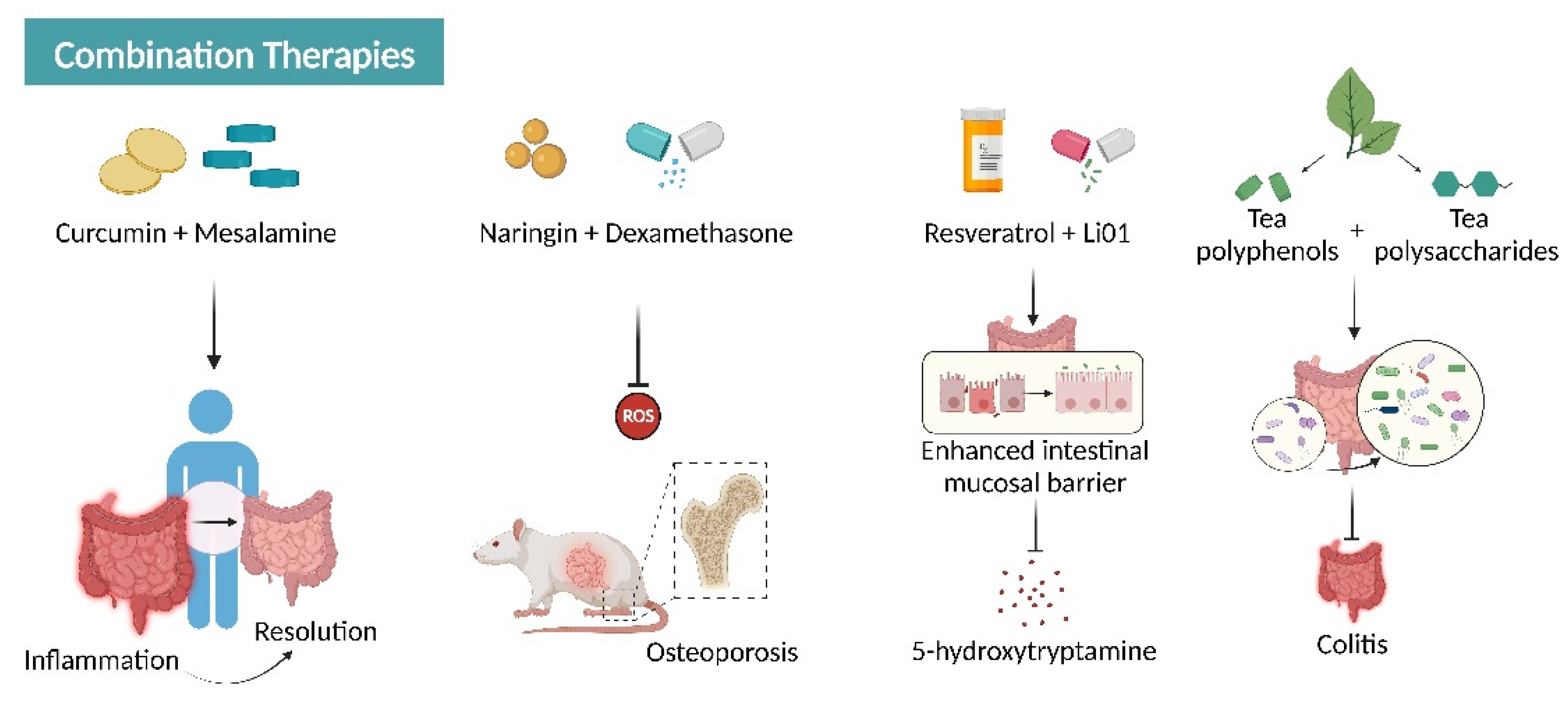 Antioxidants 12 00967 g007