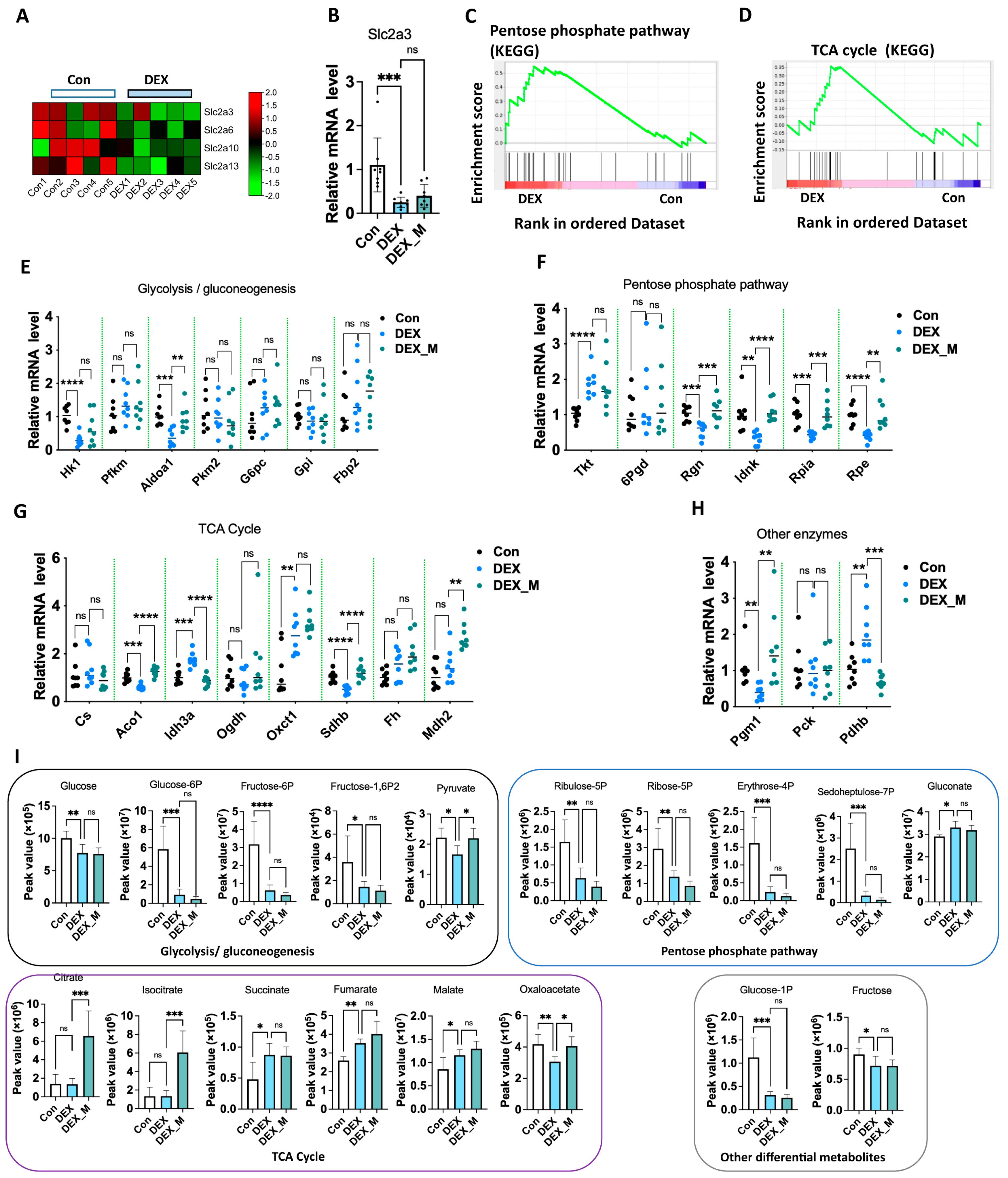 Antioxidants 12 00987 g006 Antioxidants 12 00987 g006