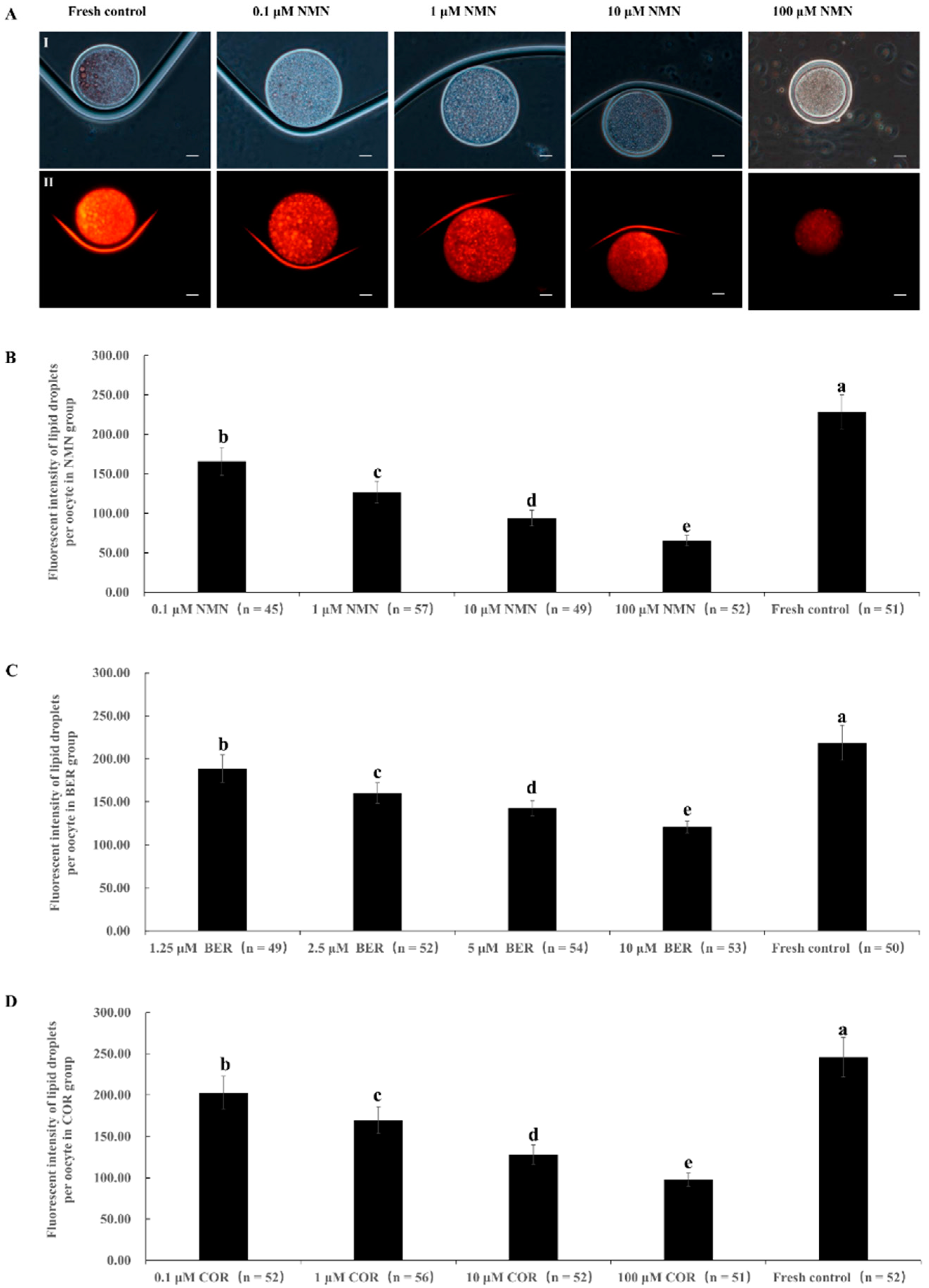 Antioxidants Free Full Text Effects of Nicotinamide