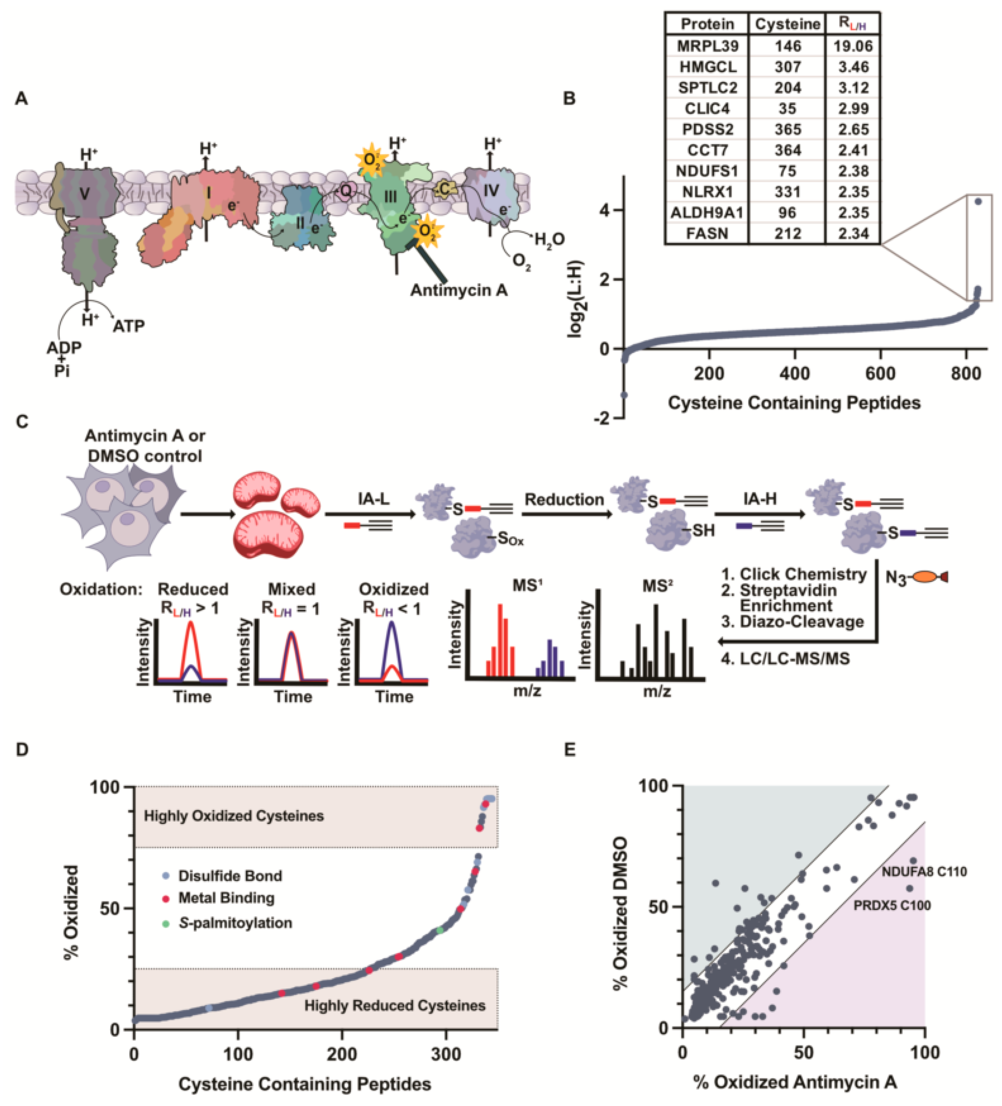 Antioxidants 12 00992 g003 Antioxidants 12 00992 g003