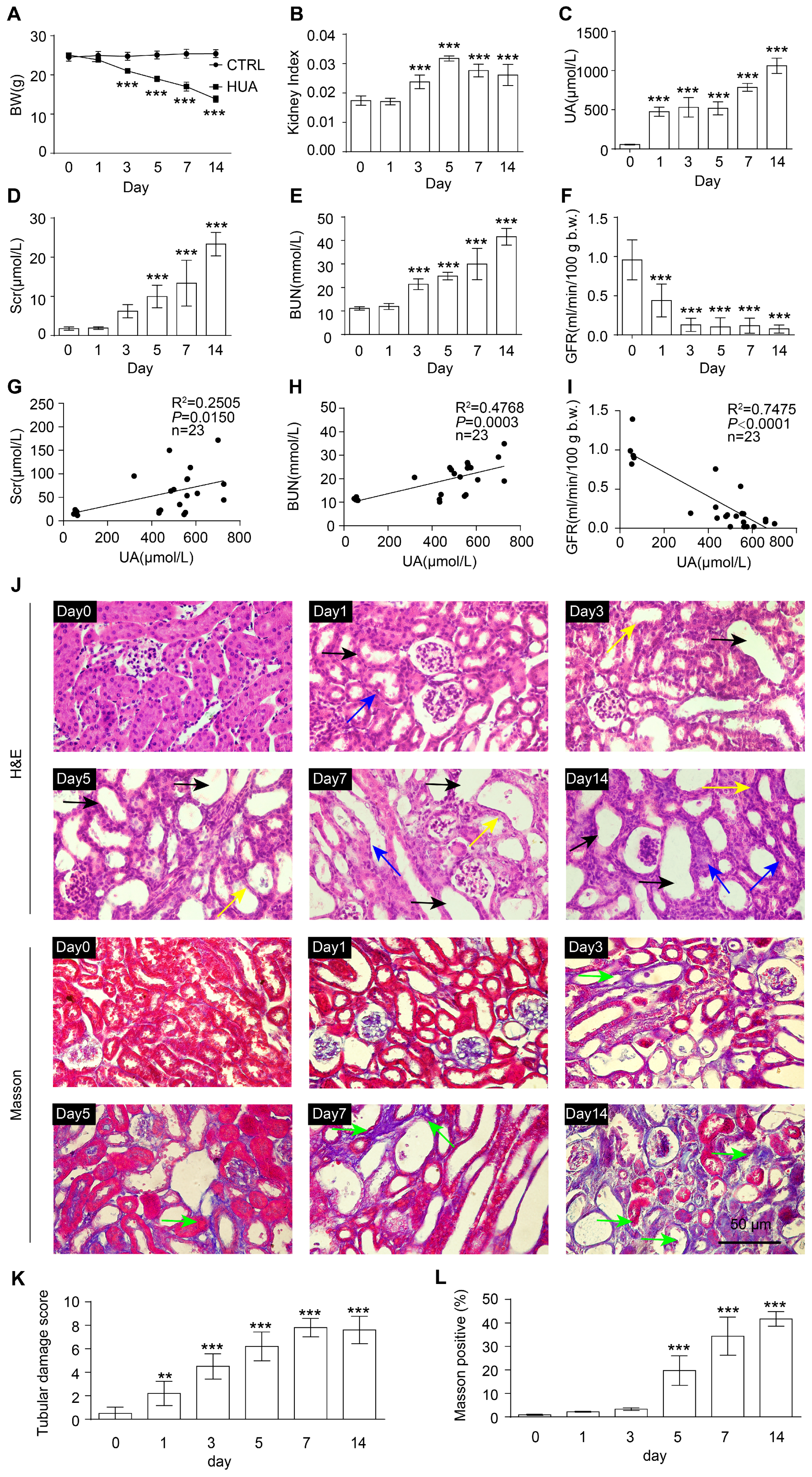 Antioxidants 12 01022 g001
