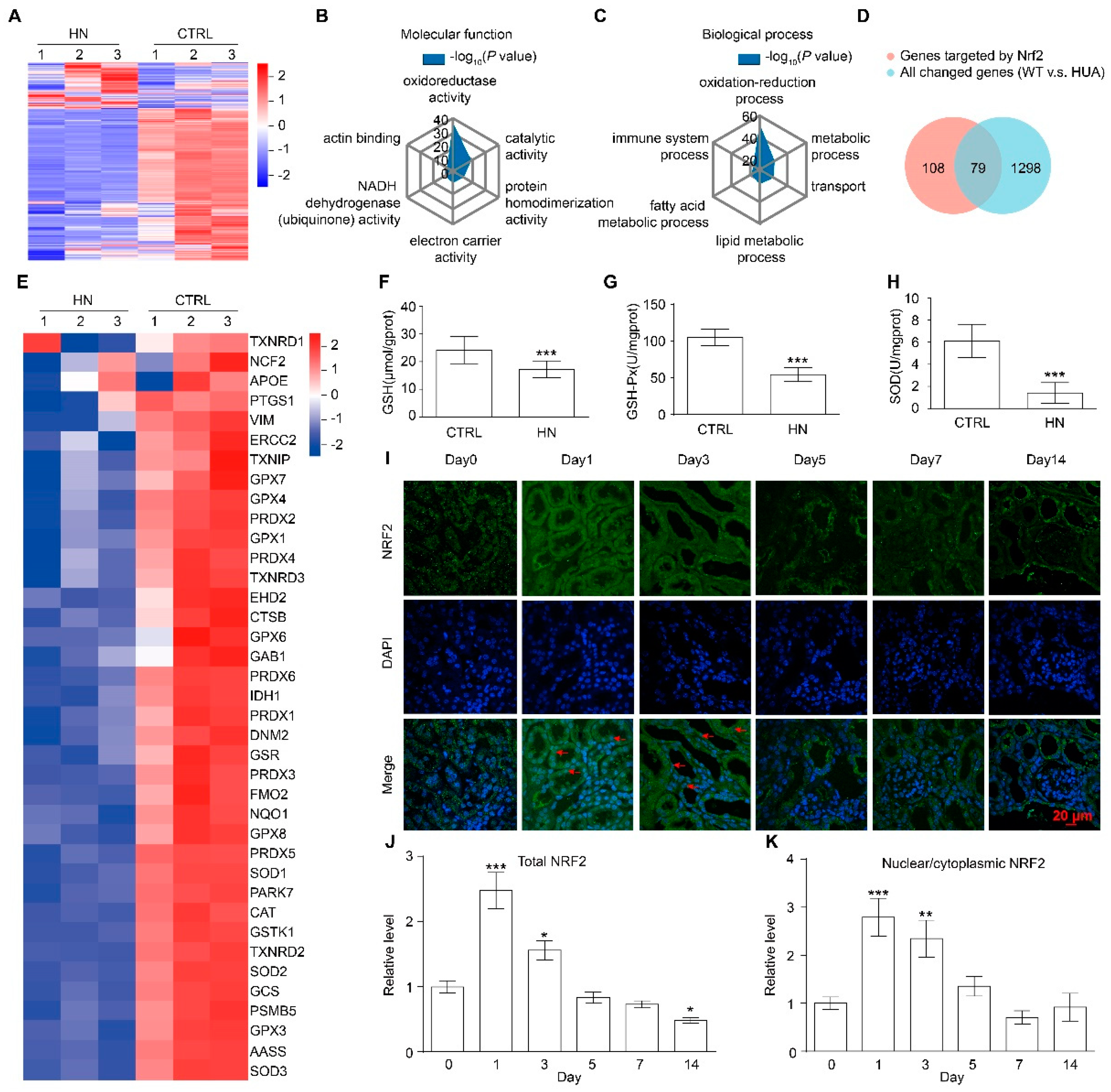 Antioxidants 12 01022 g002
