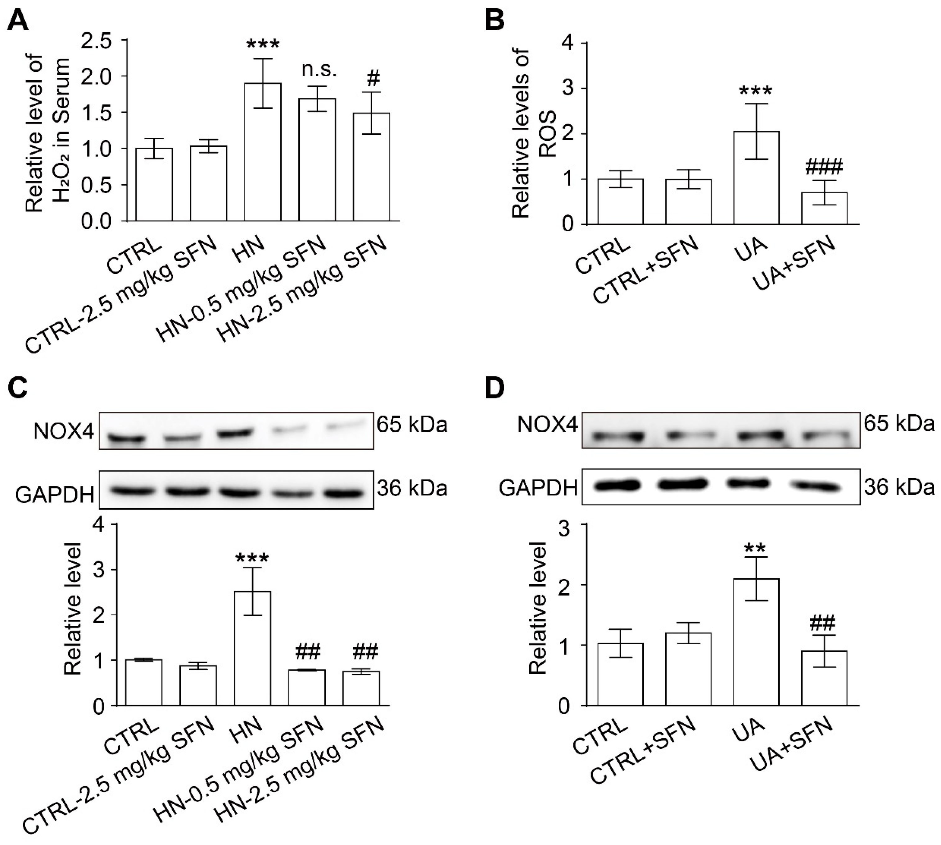 Antioxidants 12 01022 g007