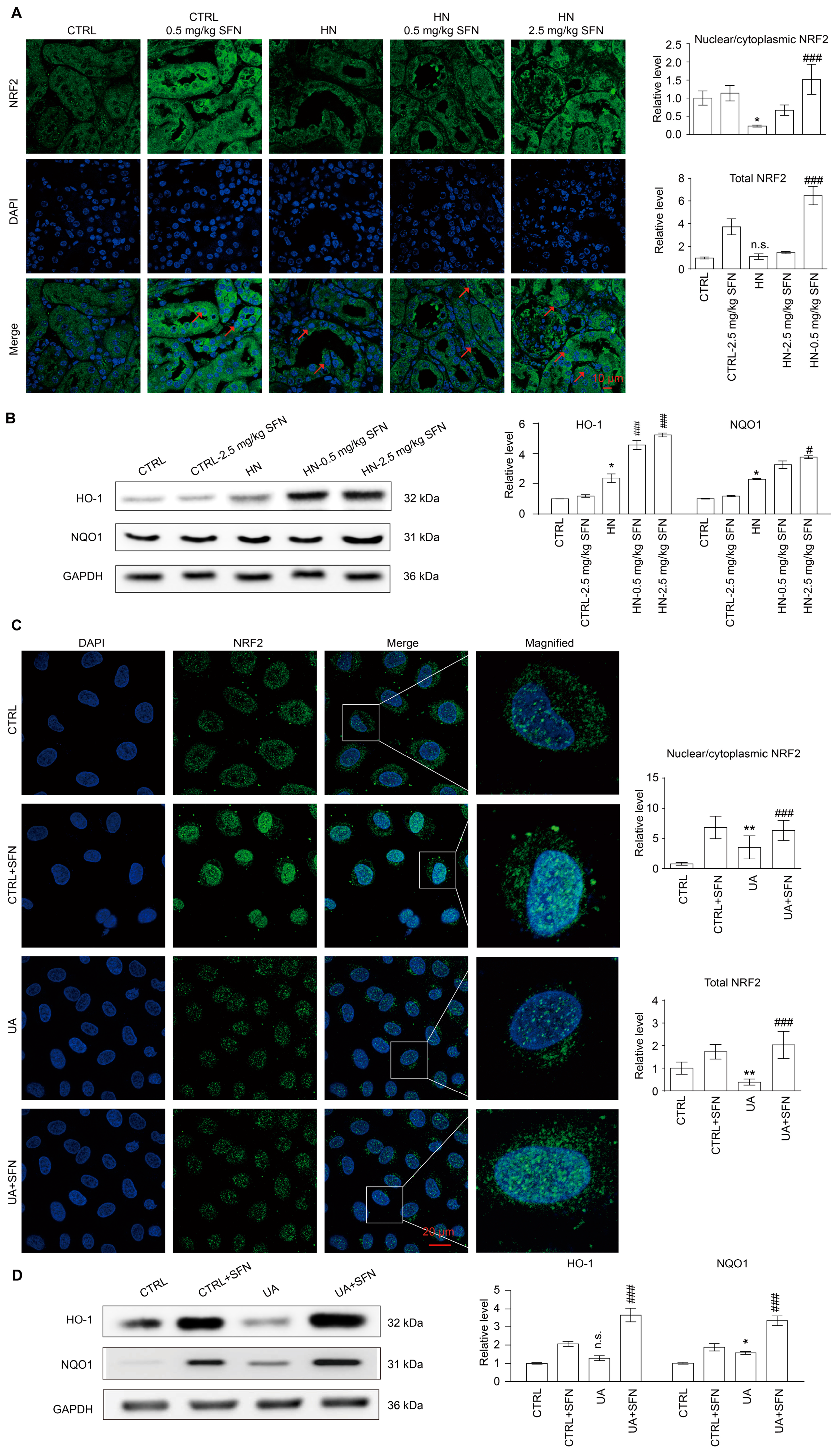 Antioxidants 12 01022 g008