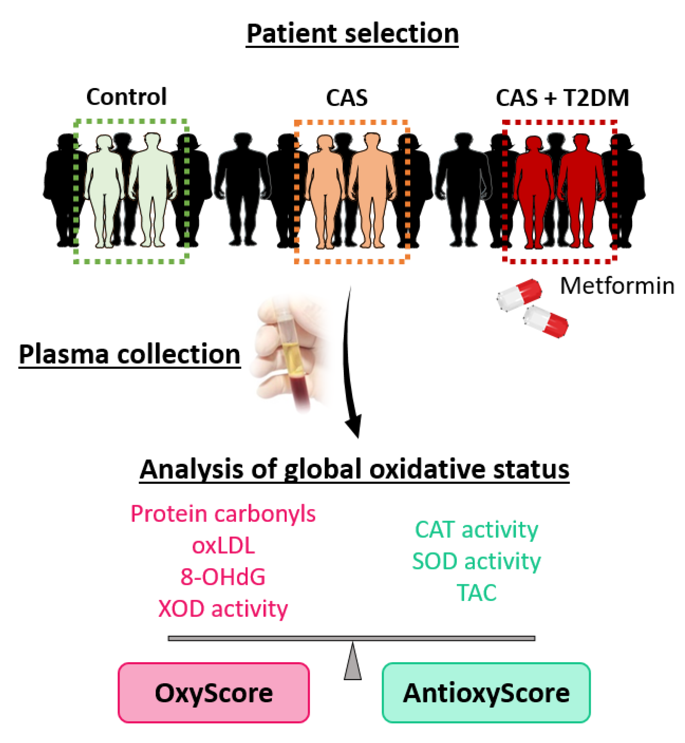 Antioxidants 12 01024 g001 Antioxidants 12 01024 g001
