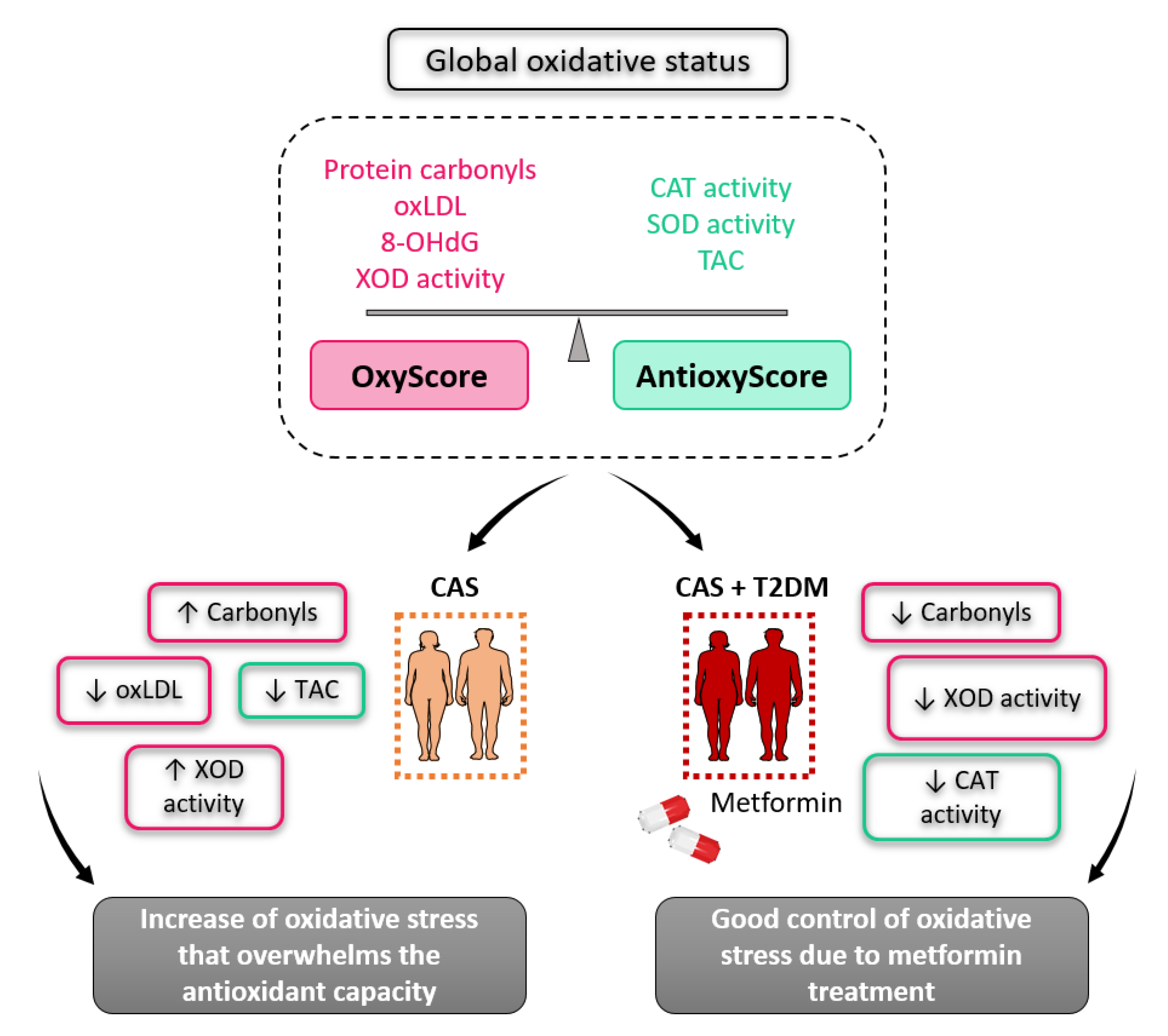 Antioxidants 12 01024 g005 Antioxidants 12 01024 g005