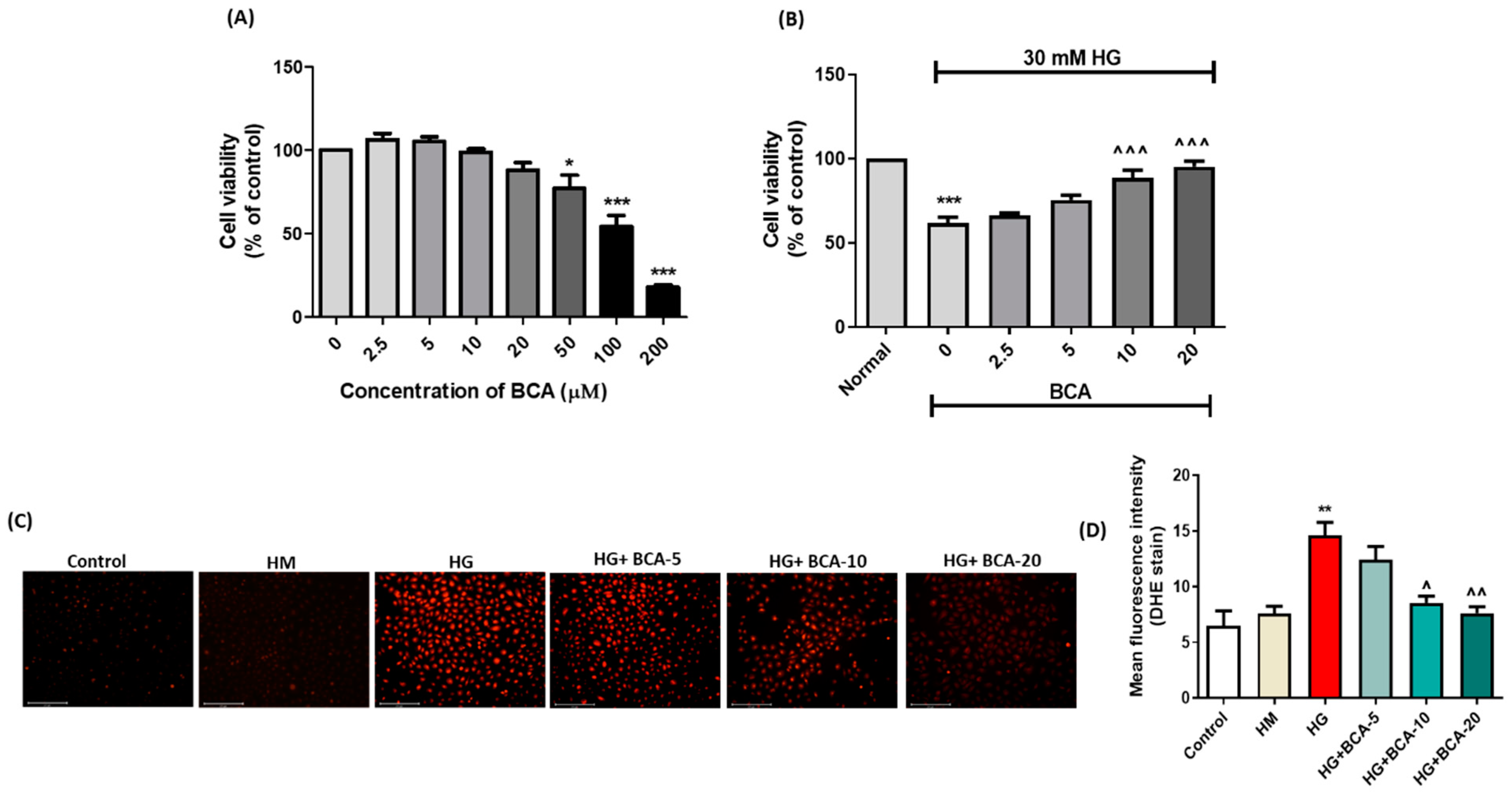 Antioxidants 12 01052 g001 Antioxidants 12 01052 g001