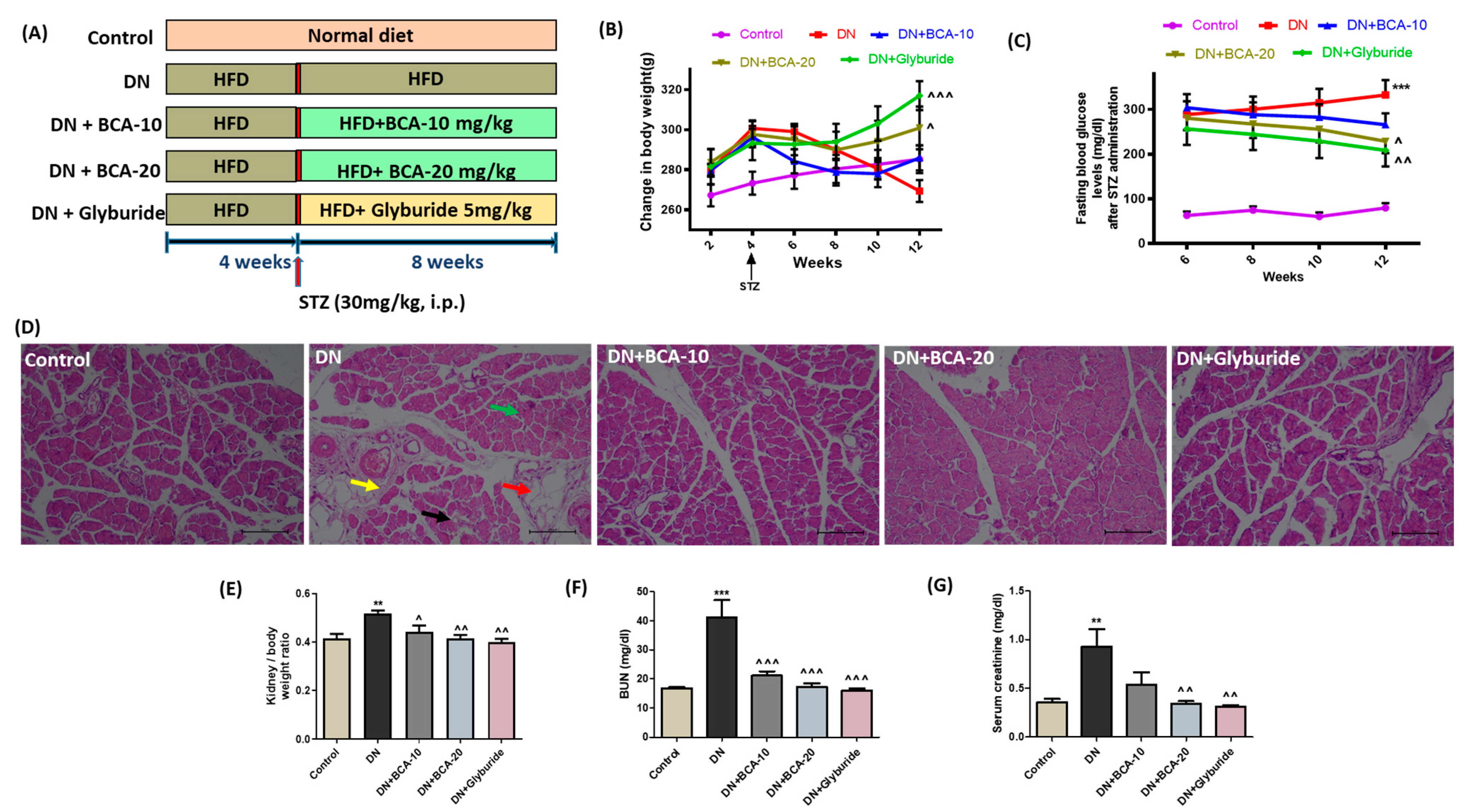Antioxidants 12 01052 g004 Antioxidants 12 01052 g004