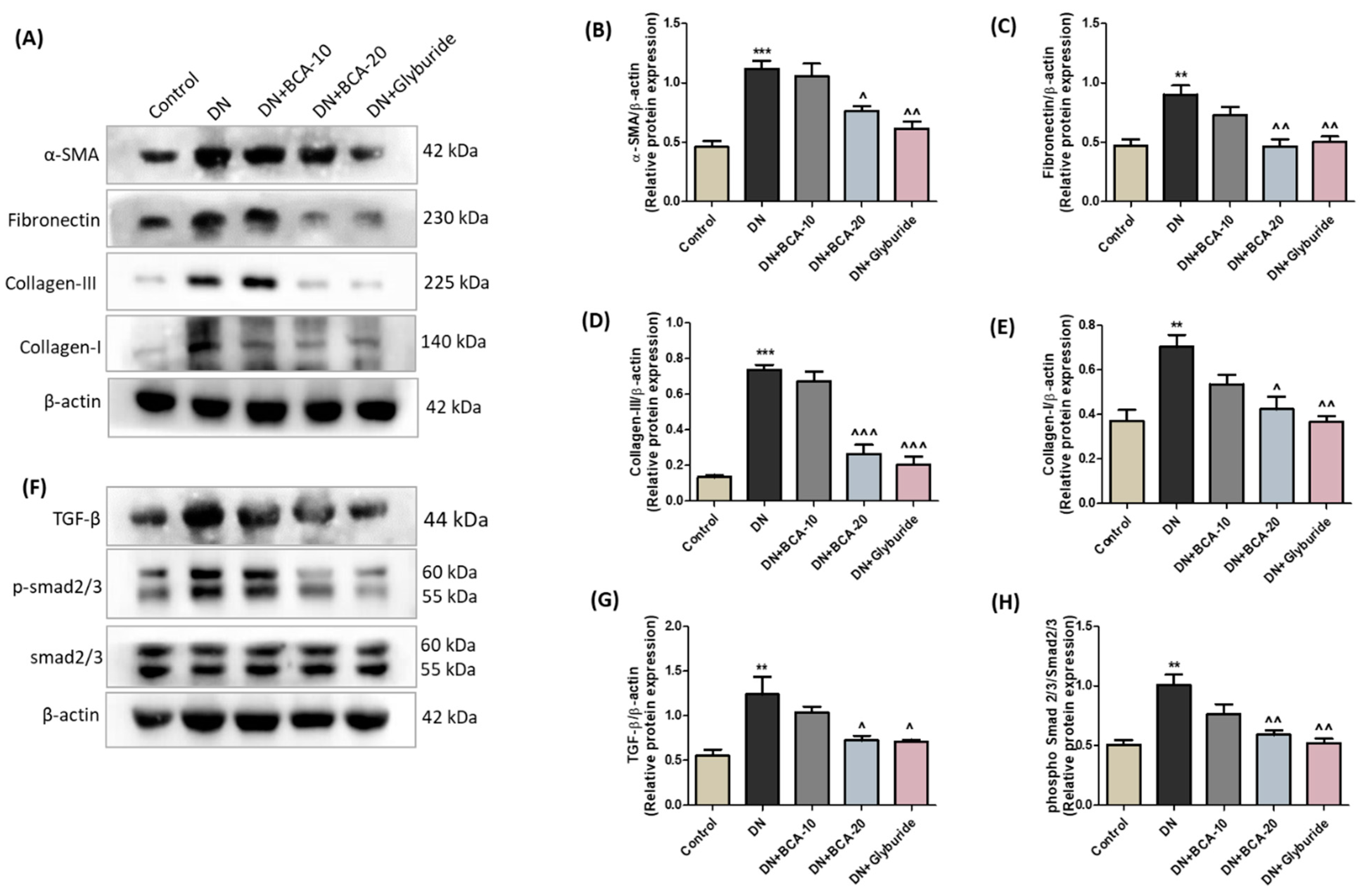 Antioxidants 12 01052 g007 Antioxidants 12 01052 g007
