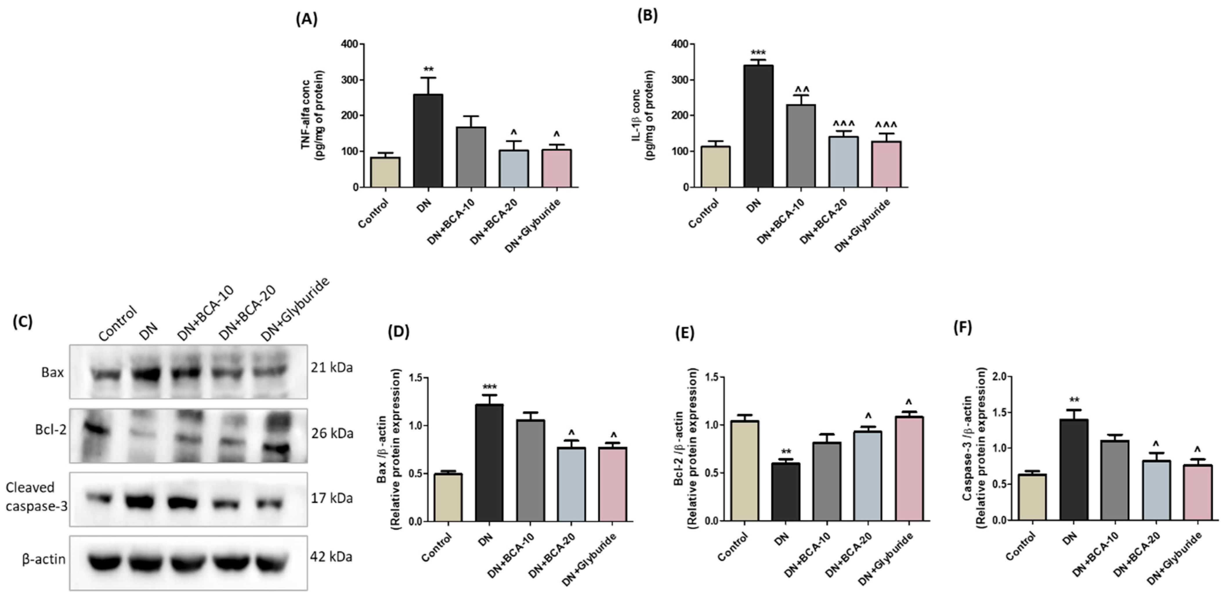 Antioxidants 12 01052 g010 Antioxidants 12 01052 g010