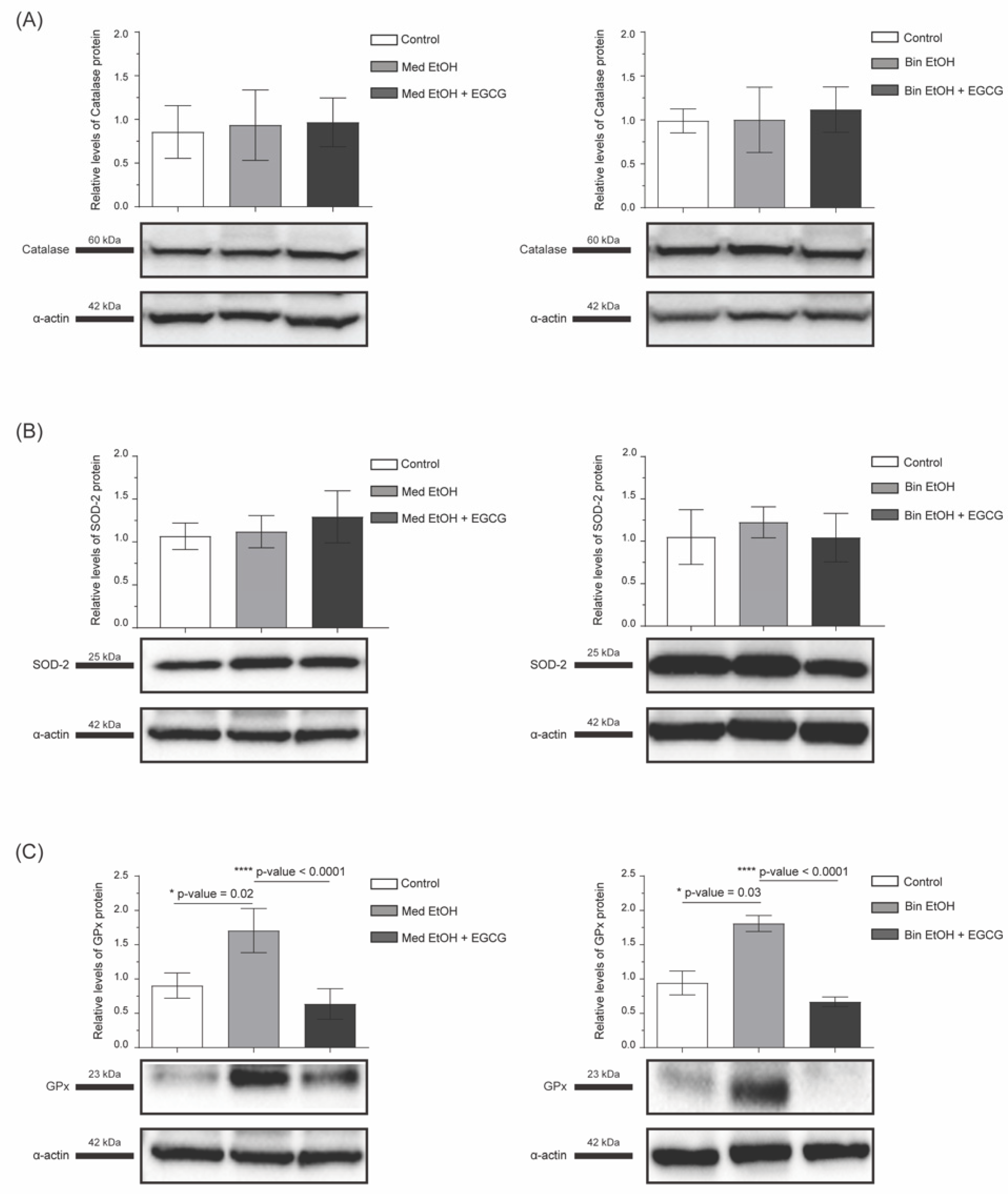 Antioxidants 12 01067 g004 Antioxidants 12 01067 g004