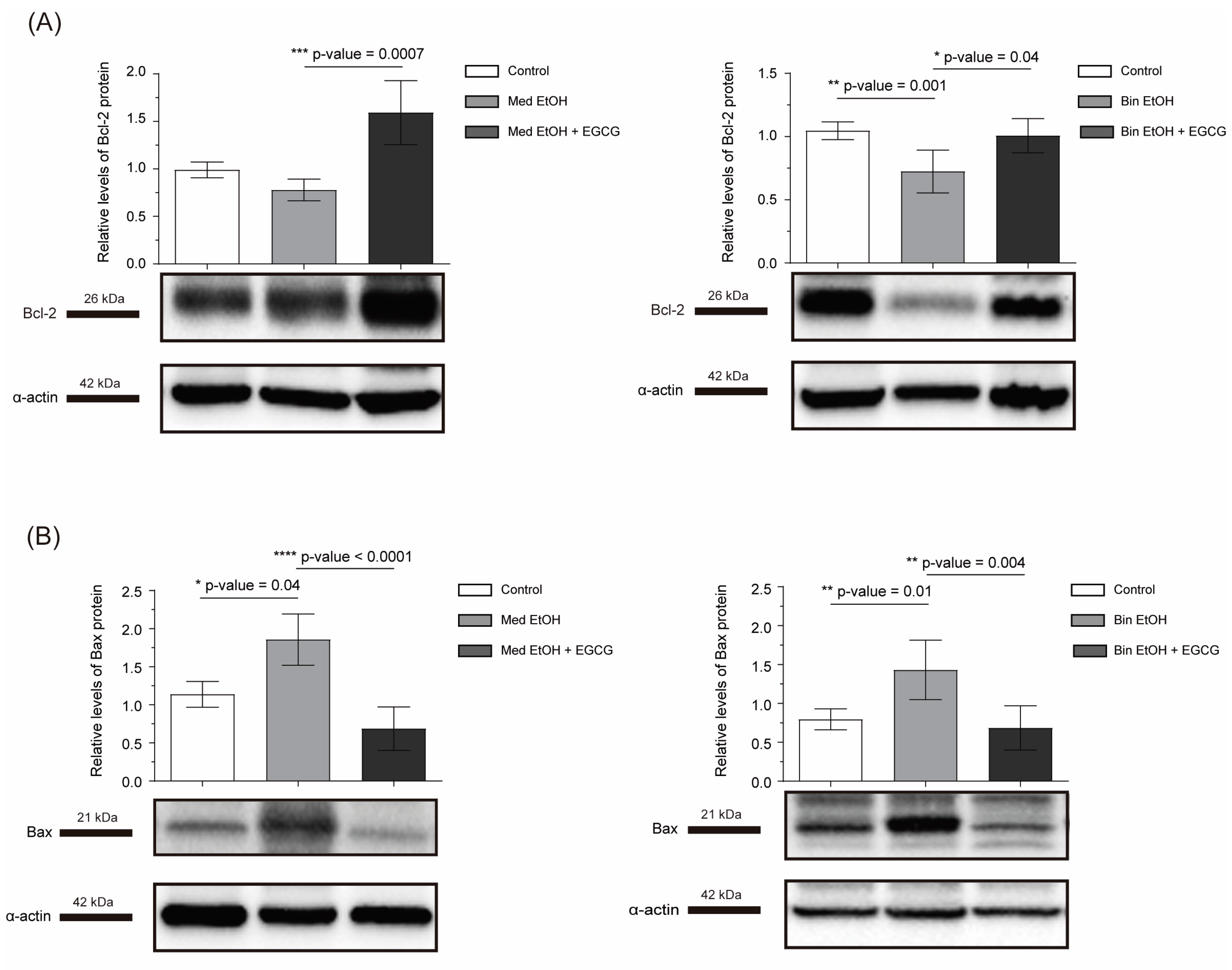 Antioxidants 12 01067 g005 Antioxidants 12 01067 g005