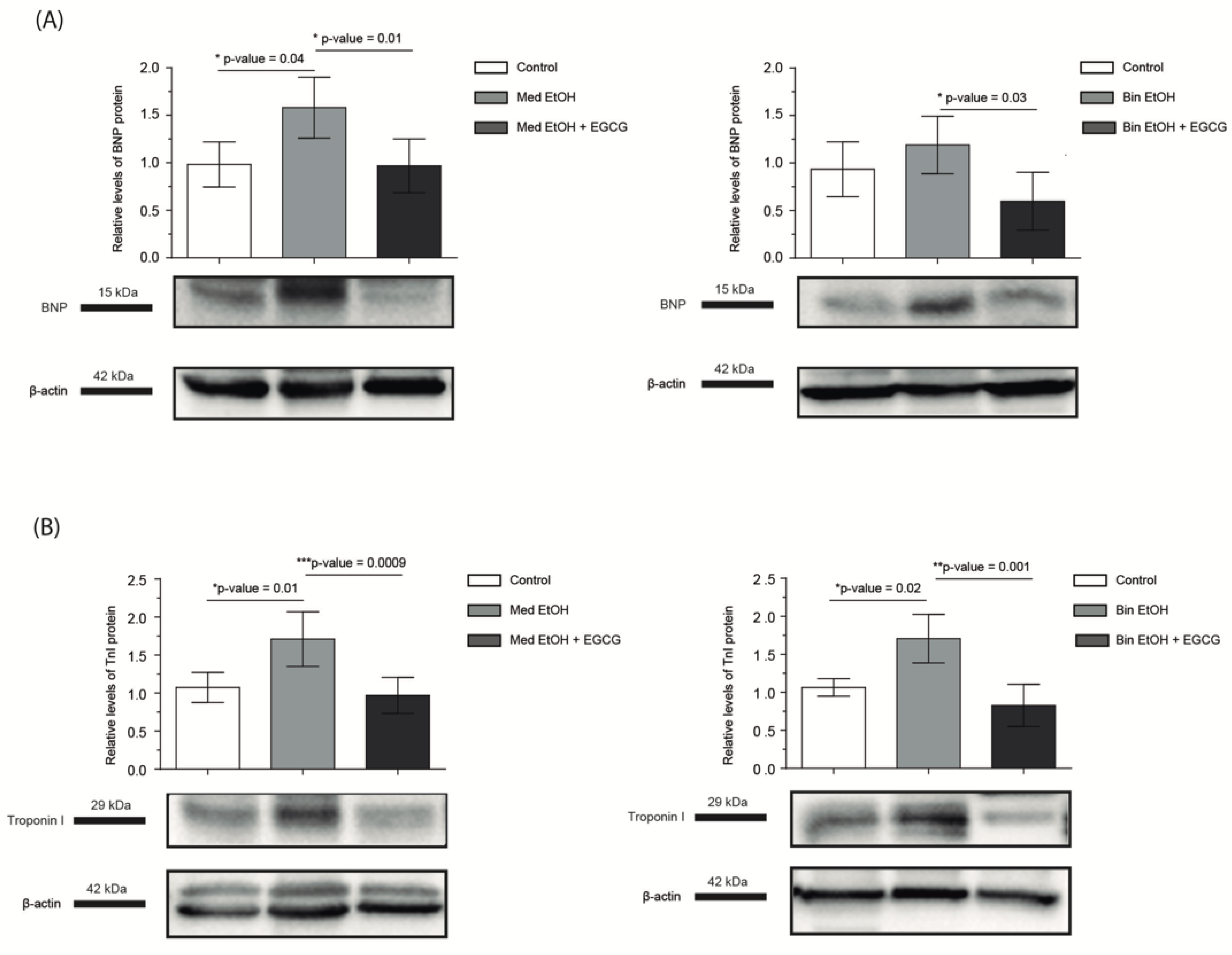 Antioxidants 12 01067 g006 Antioxidants 12 01067 g006
