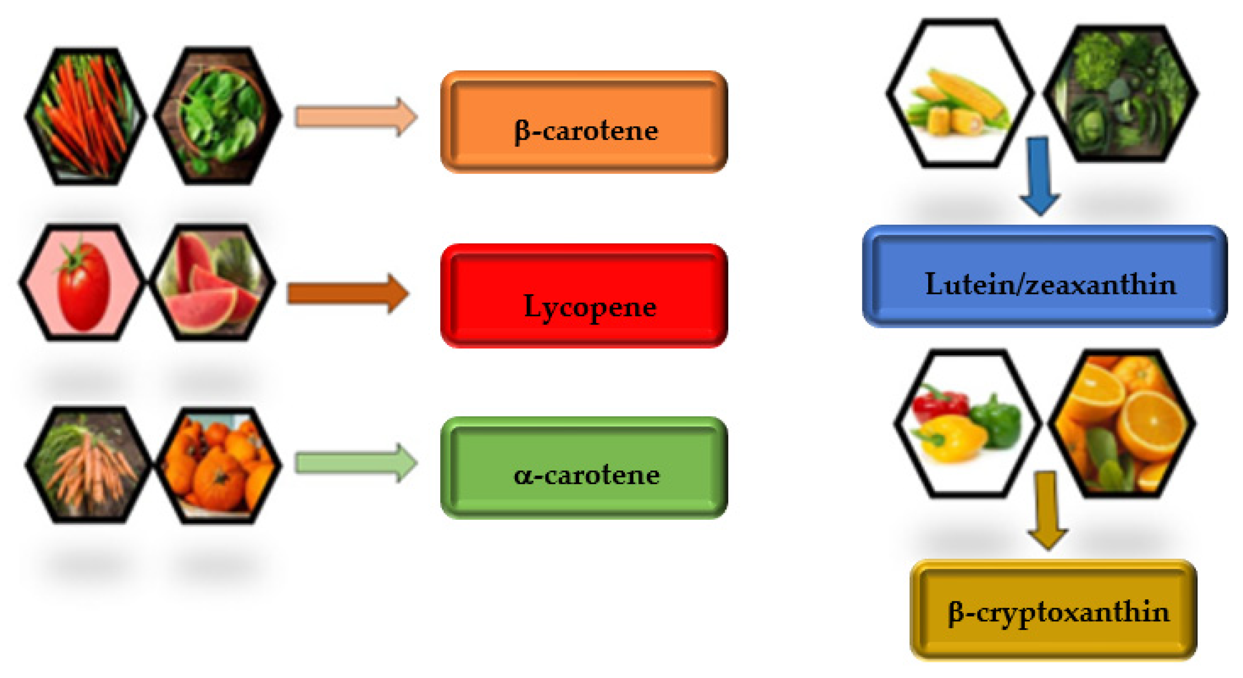 Antioxidants Free FullText Overview of the Potential Beneficial