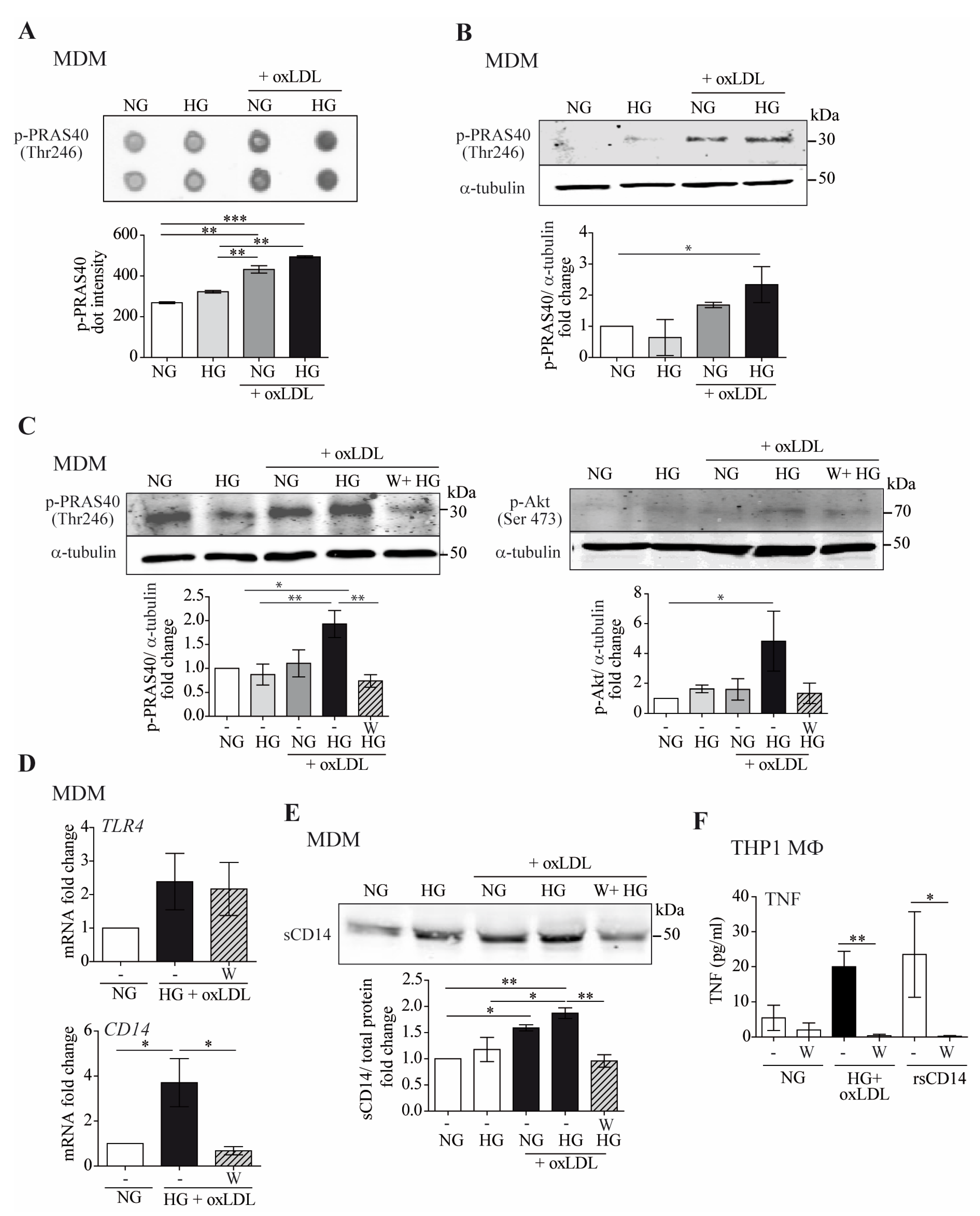 Antioxidants 12 01083 g005 Antioxidants 12 01083 g005