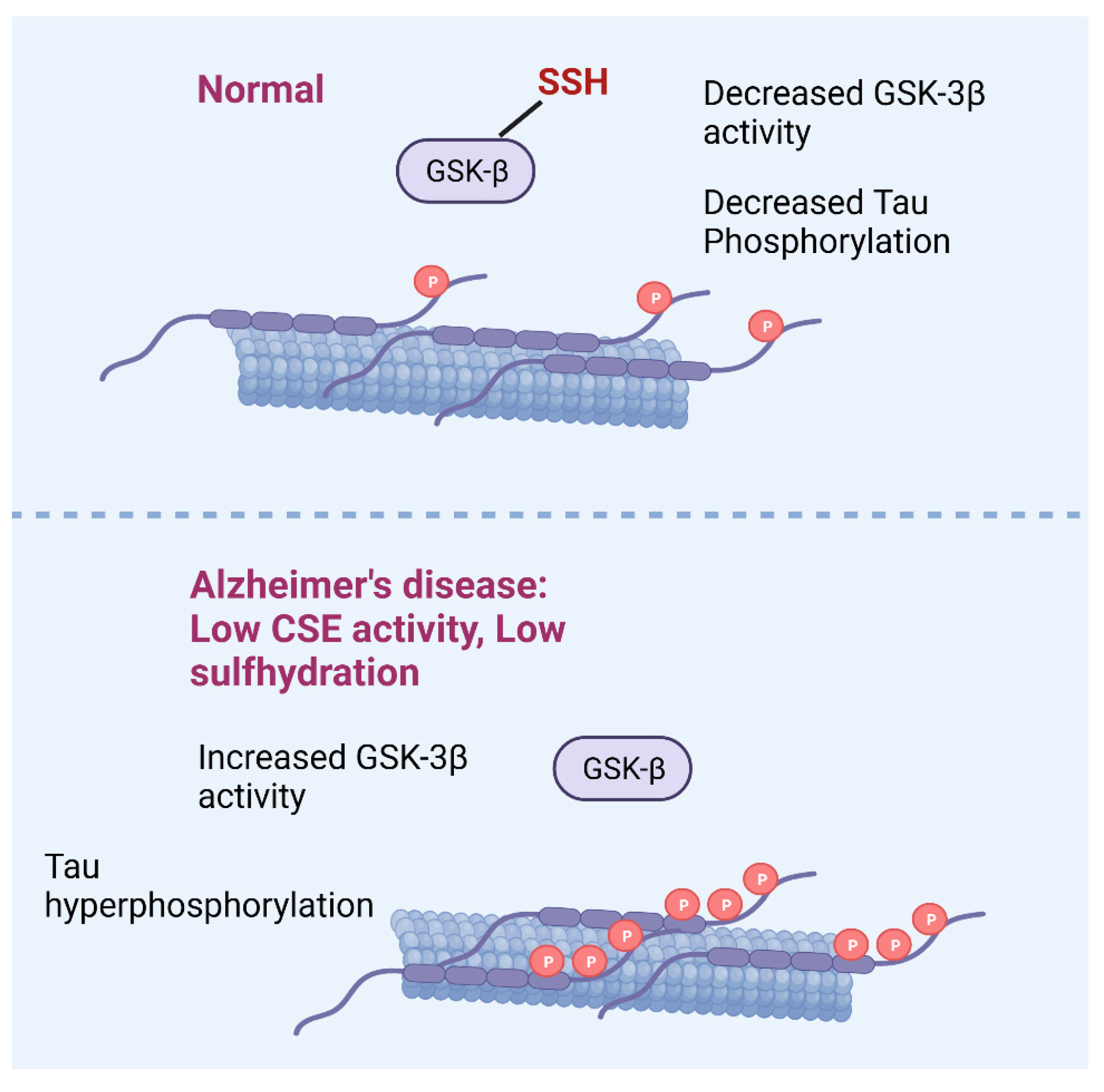 Antioxidants 12 01095 g002 Antioxidants 12 01095 g002