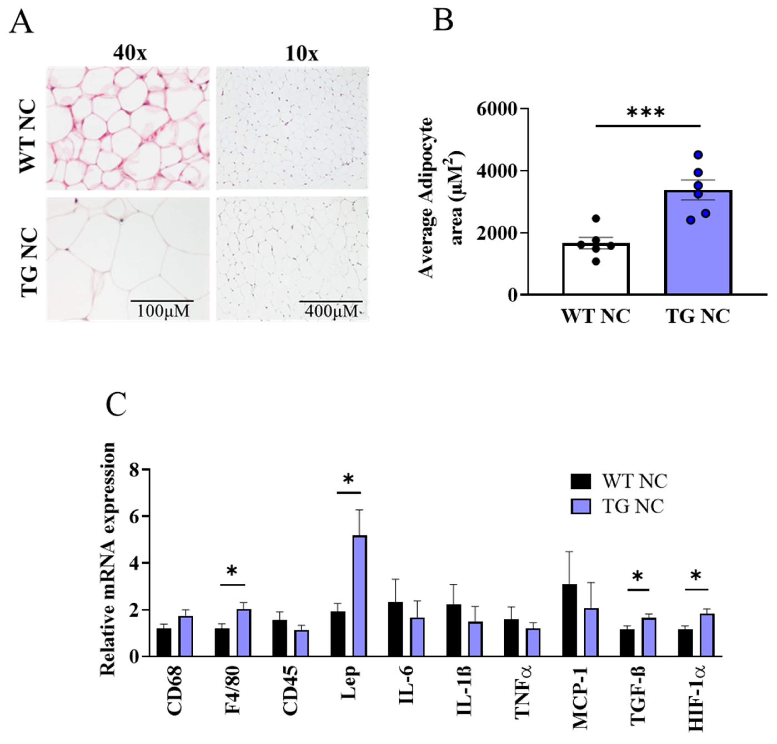 Antioxidants 12 01137 g004