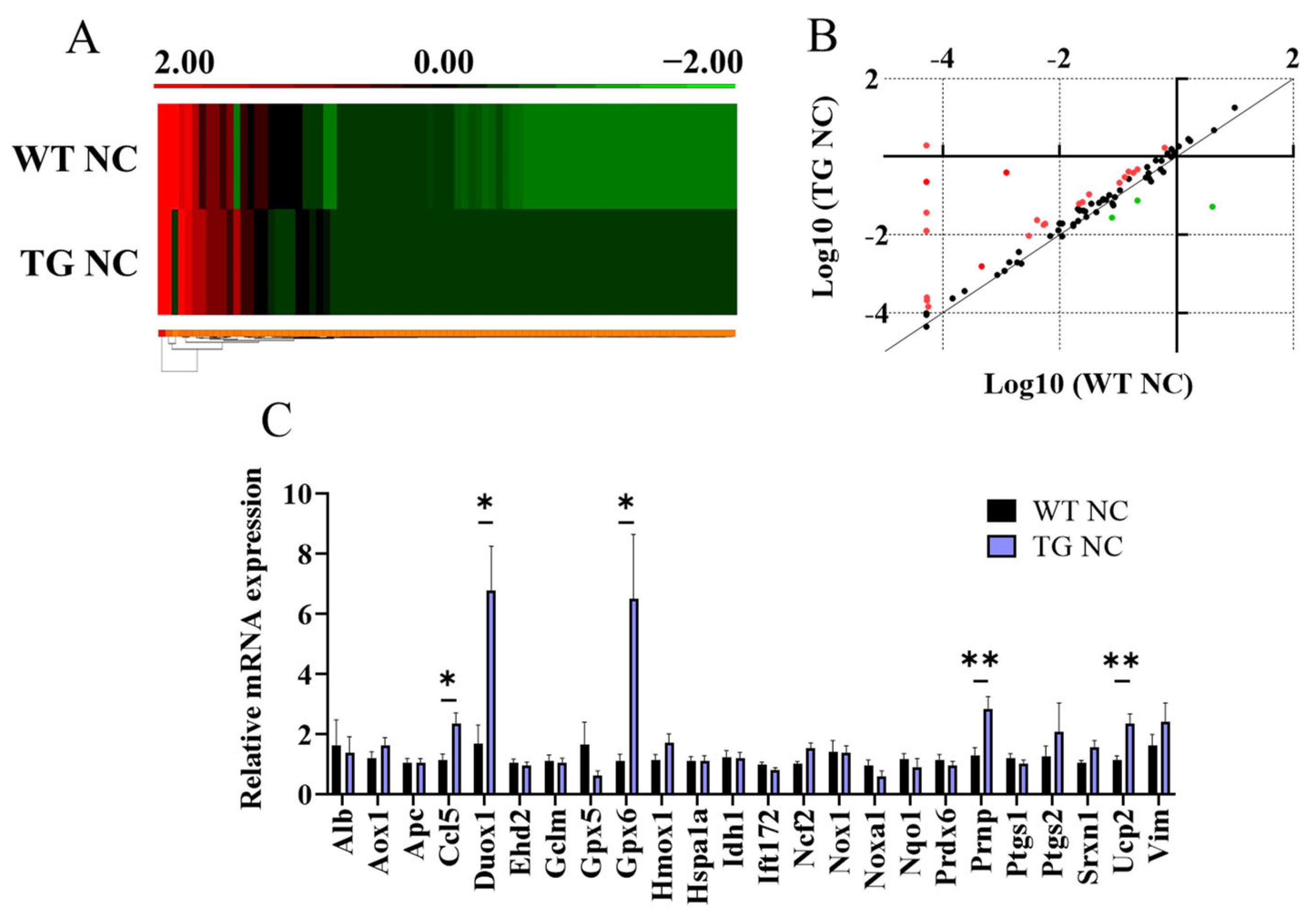 Antioxidants 12 01137 g005