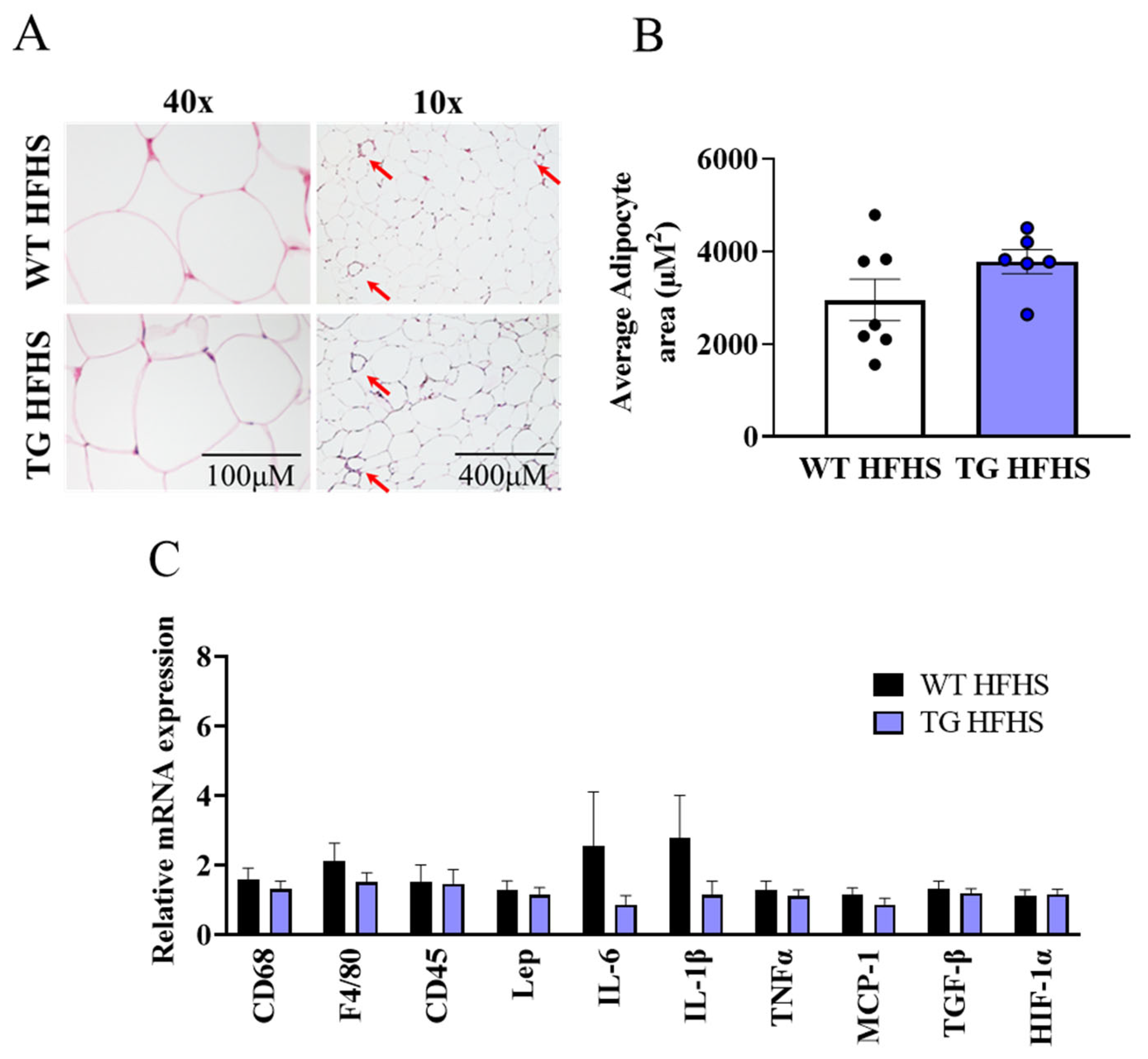 Antioxidants 12 01137 g006