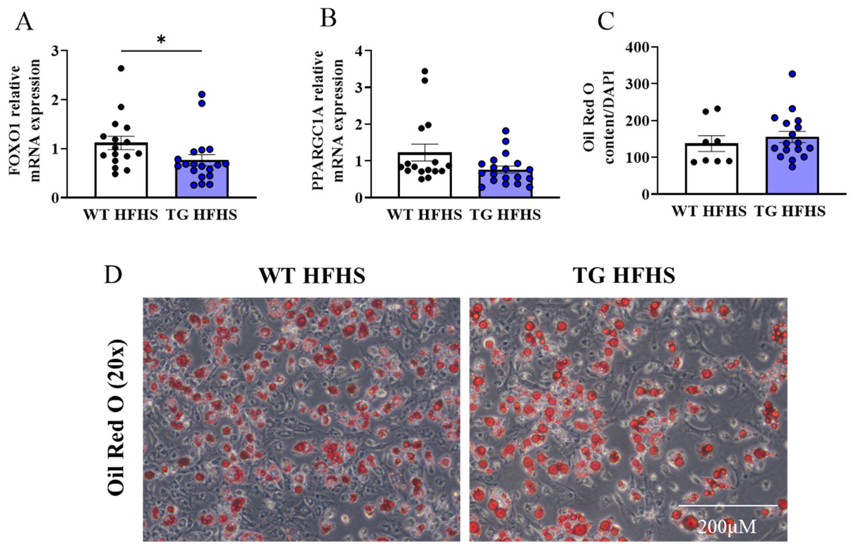 Antioxidants 12 01137 g009