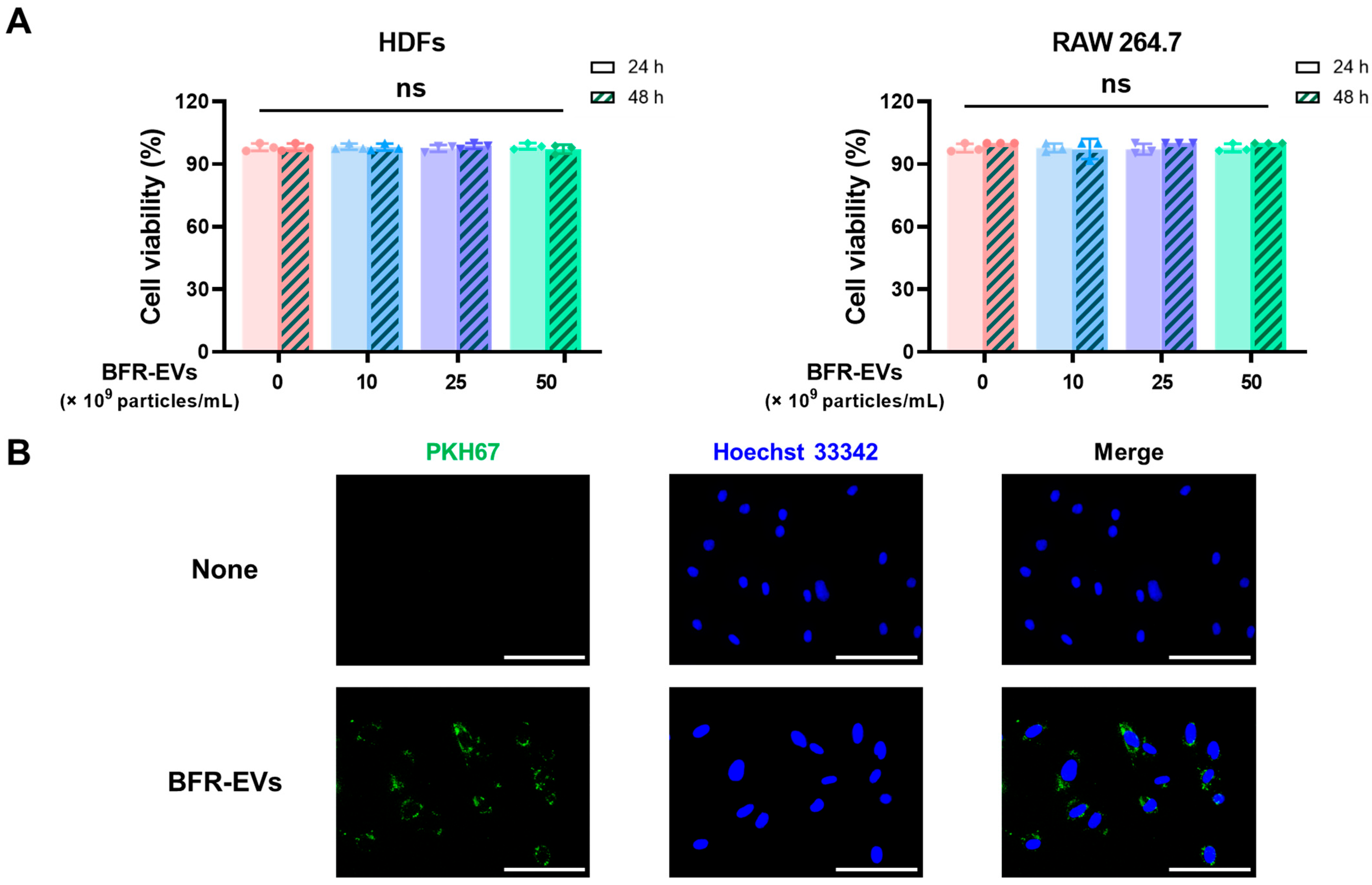 Antioxidants 12 01146 g002 Antioxidants 12 01146 g002