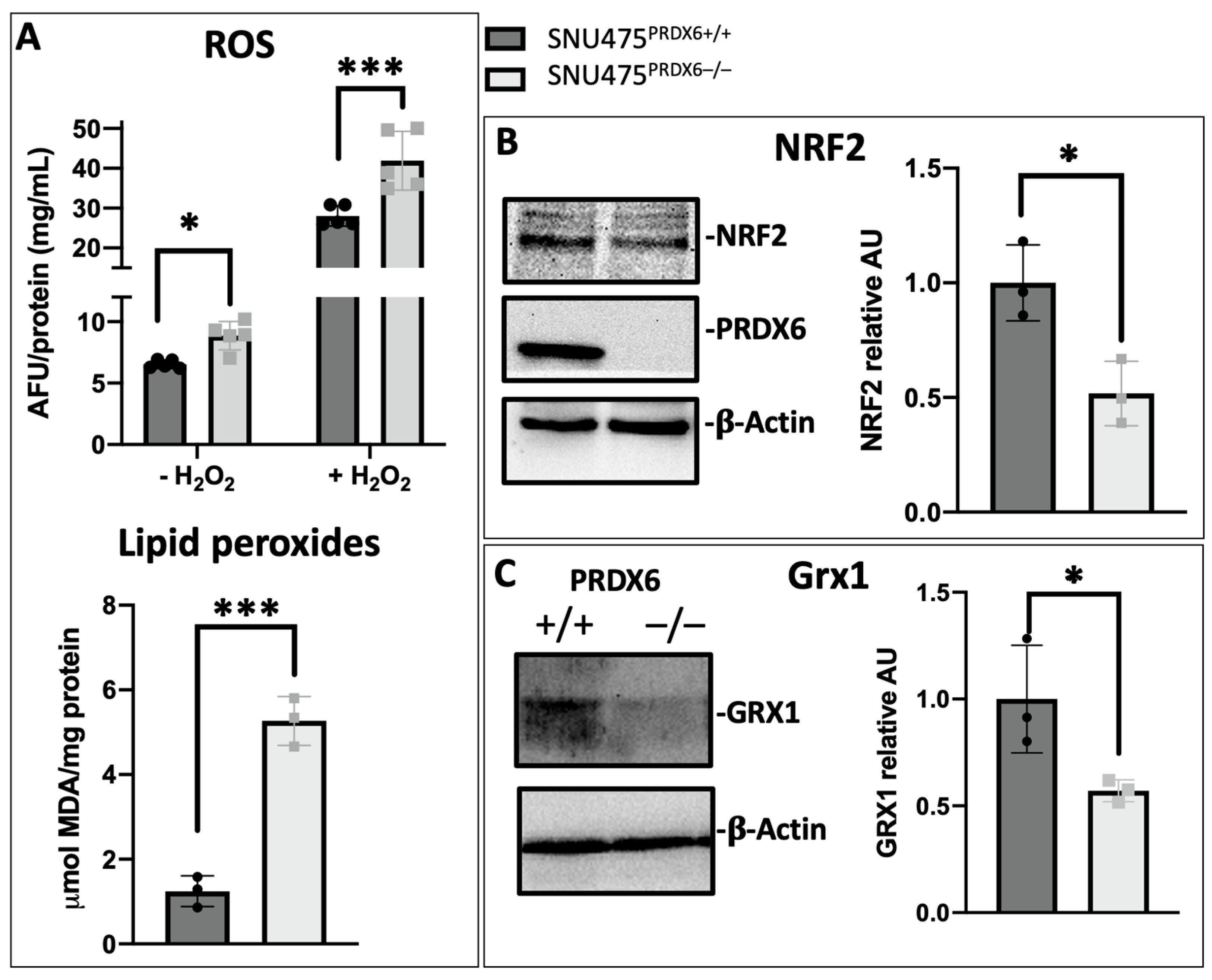 Antioxidants 12 01153 g001 Antioxidants 12 01153 g001