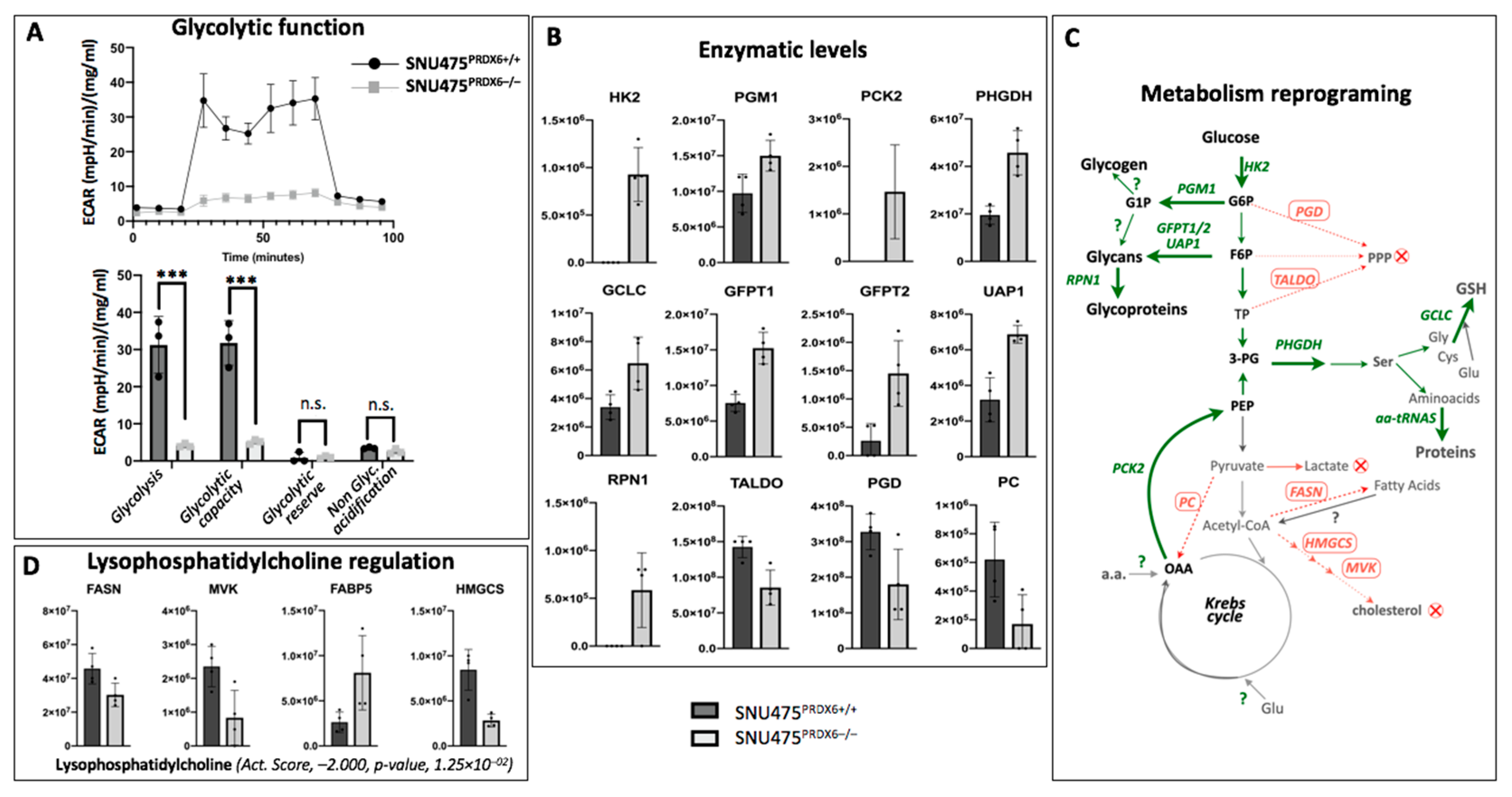 Antioxidants 12 01153 g003 Antioxidants 12 01153 g003