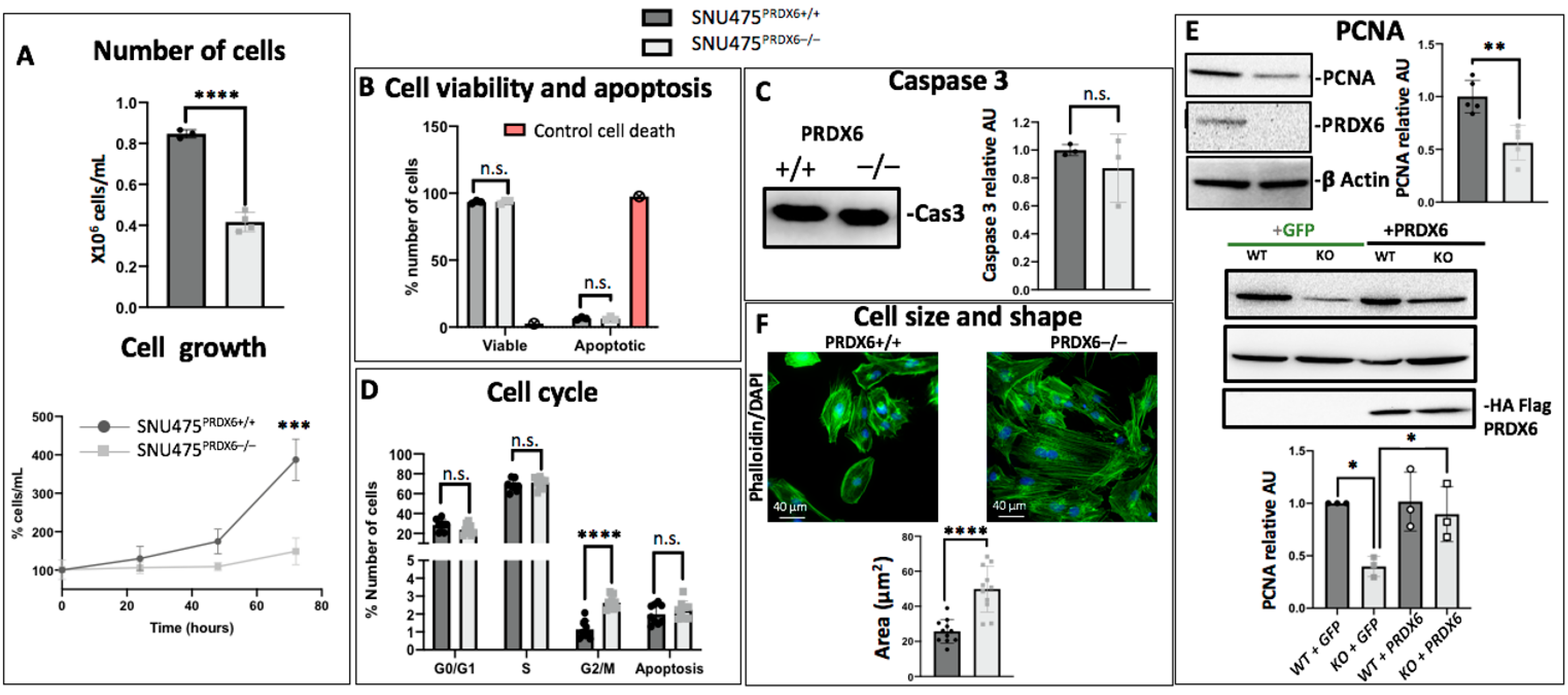 Antioxidants 12 01153 g004 Antioxidants 12 01153 g004