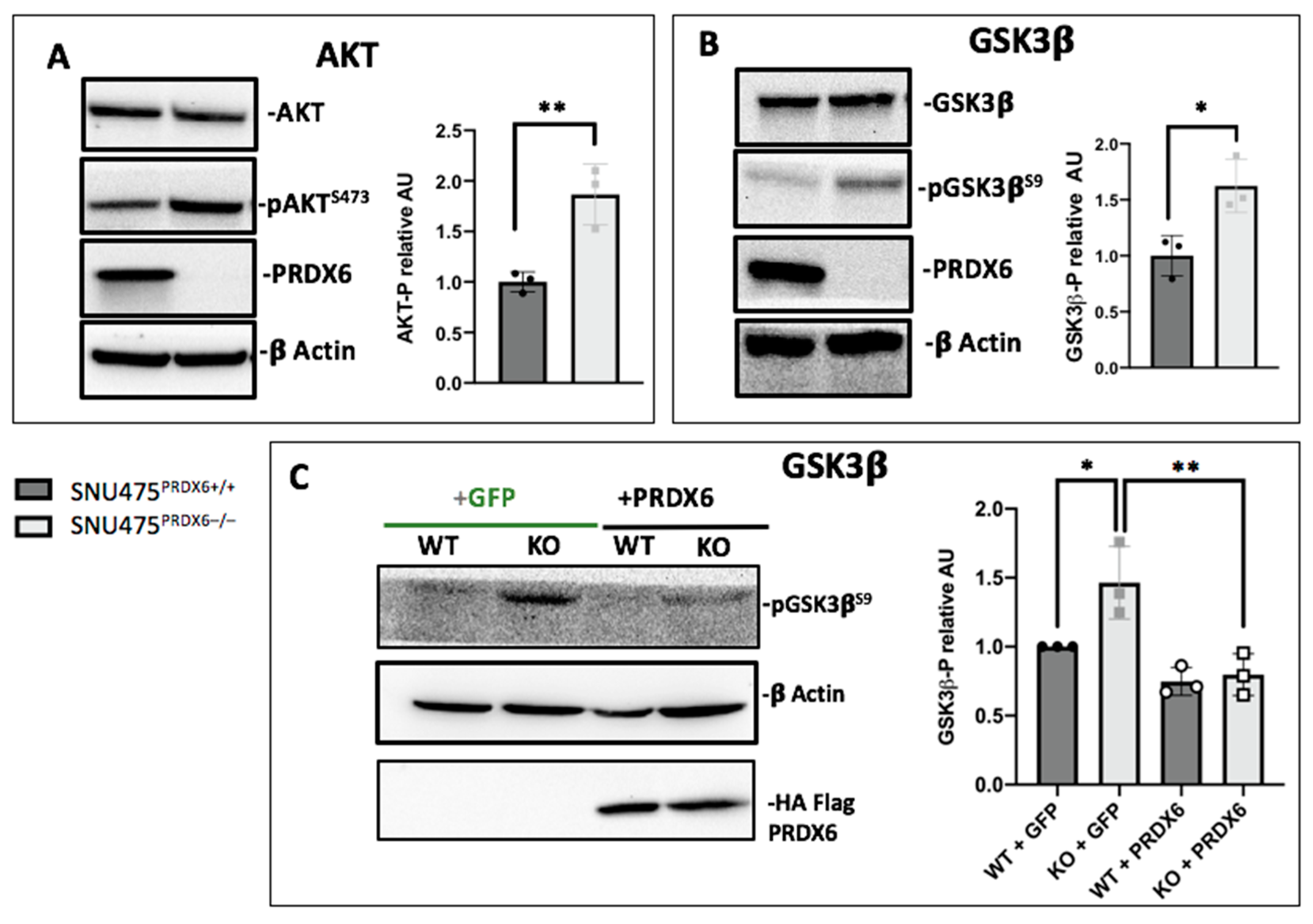 Antioxidants 12 01153 g005 Antioxidants 12 01153 g005