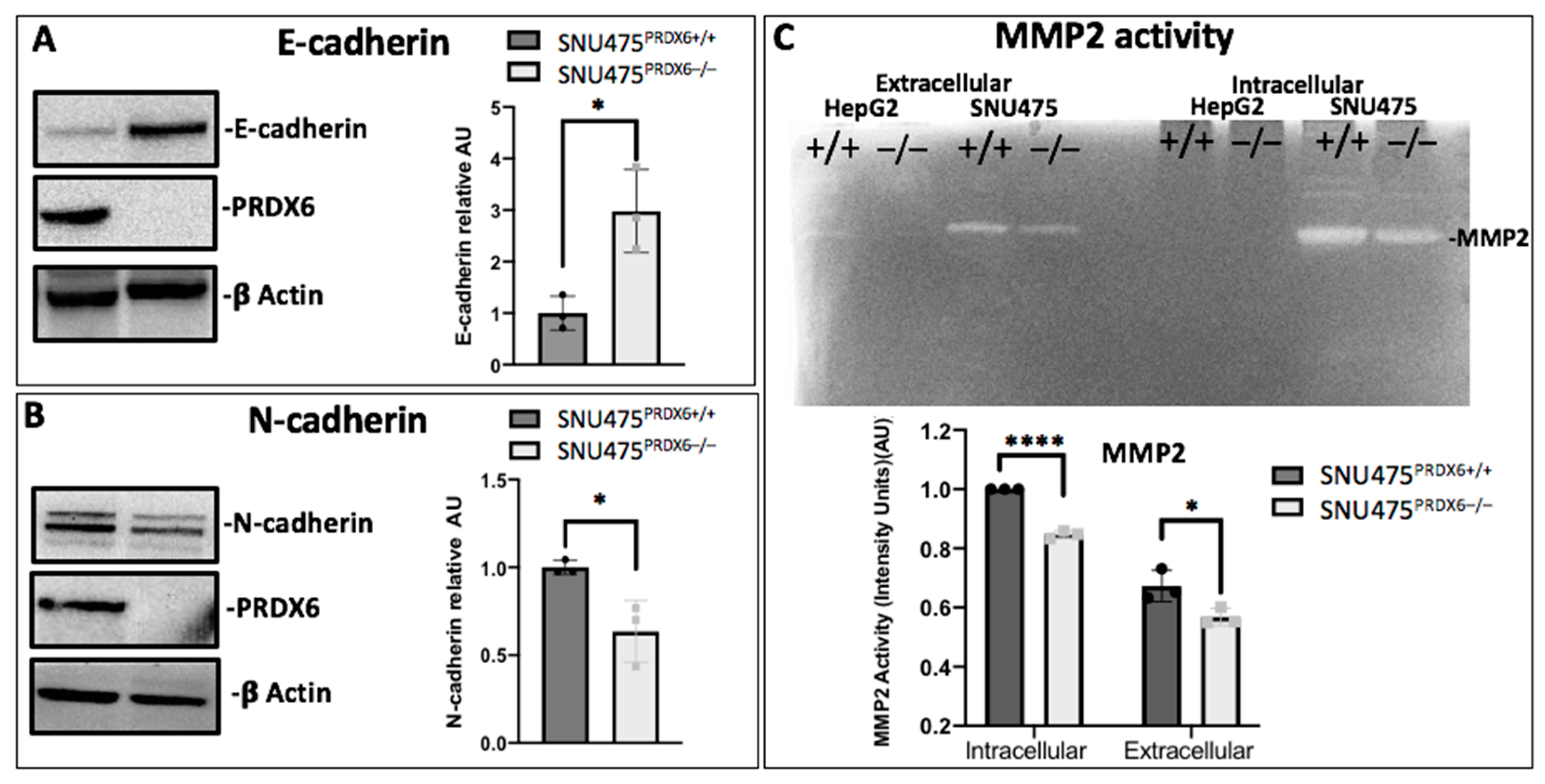 Antioxidants 12 01153 g006 Antioxidants 12 01153 g006