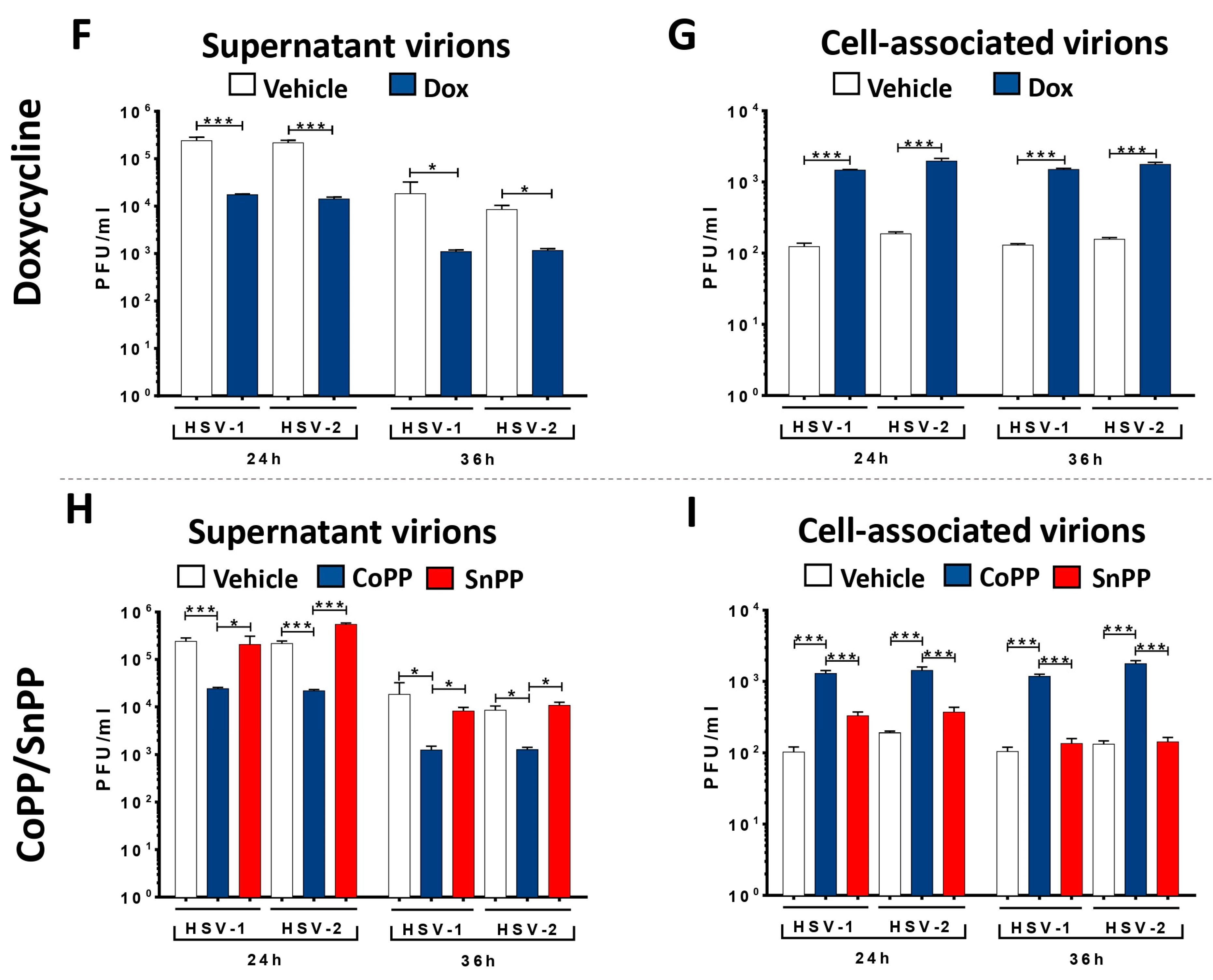Antioxidants 12 01170 g001b Antioxidants 12 01170 g001b
