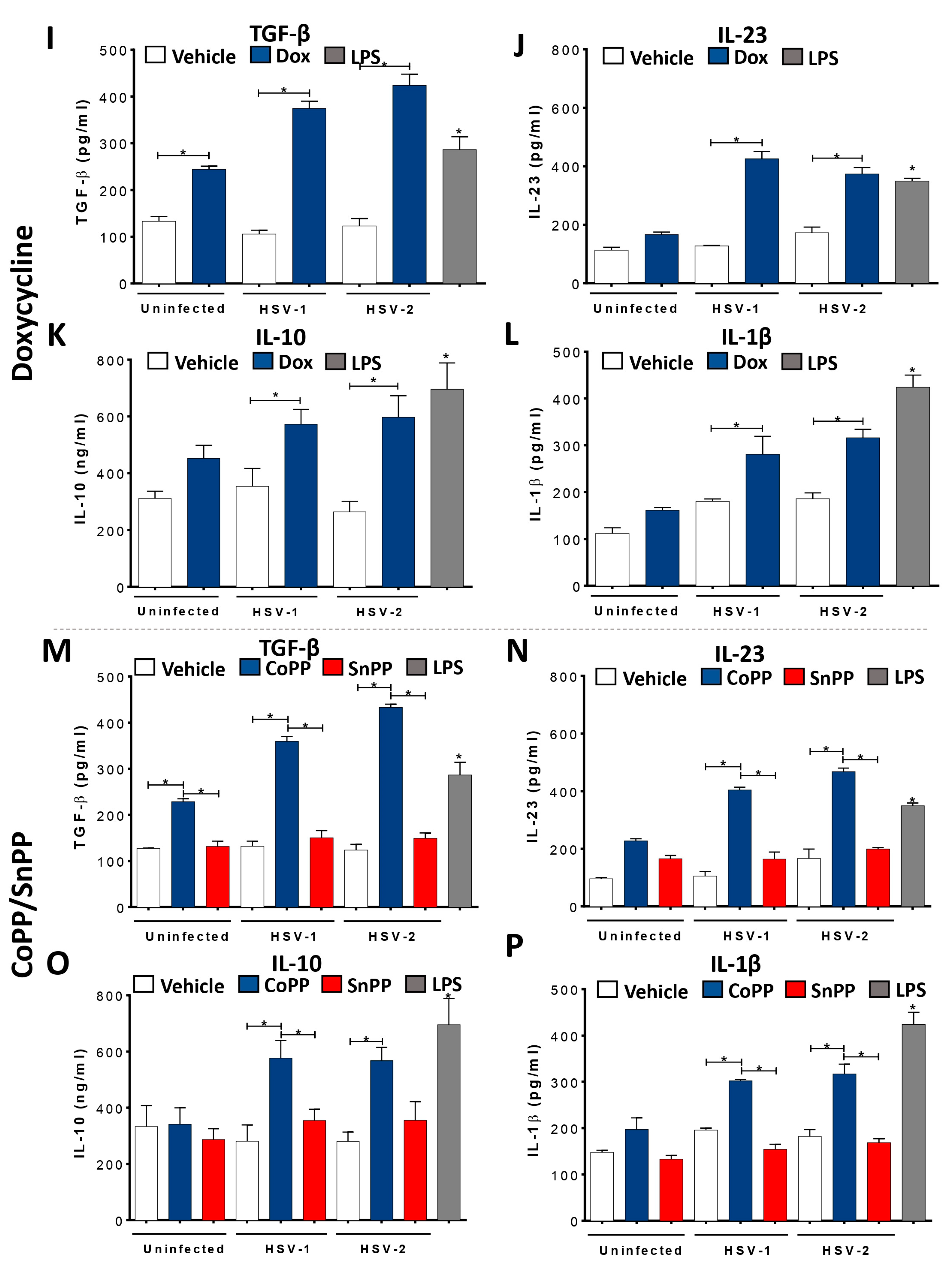 Antioxidants 12 01170 g002b Antioxidants 12 01170 g002b