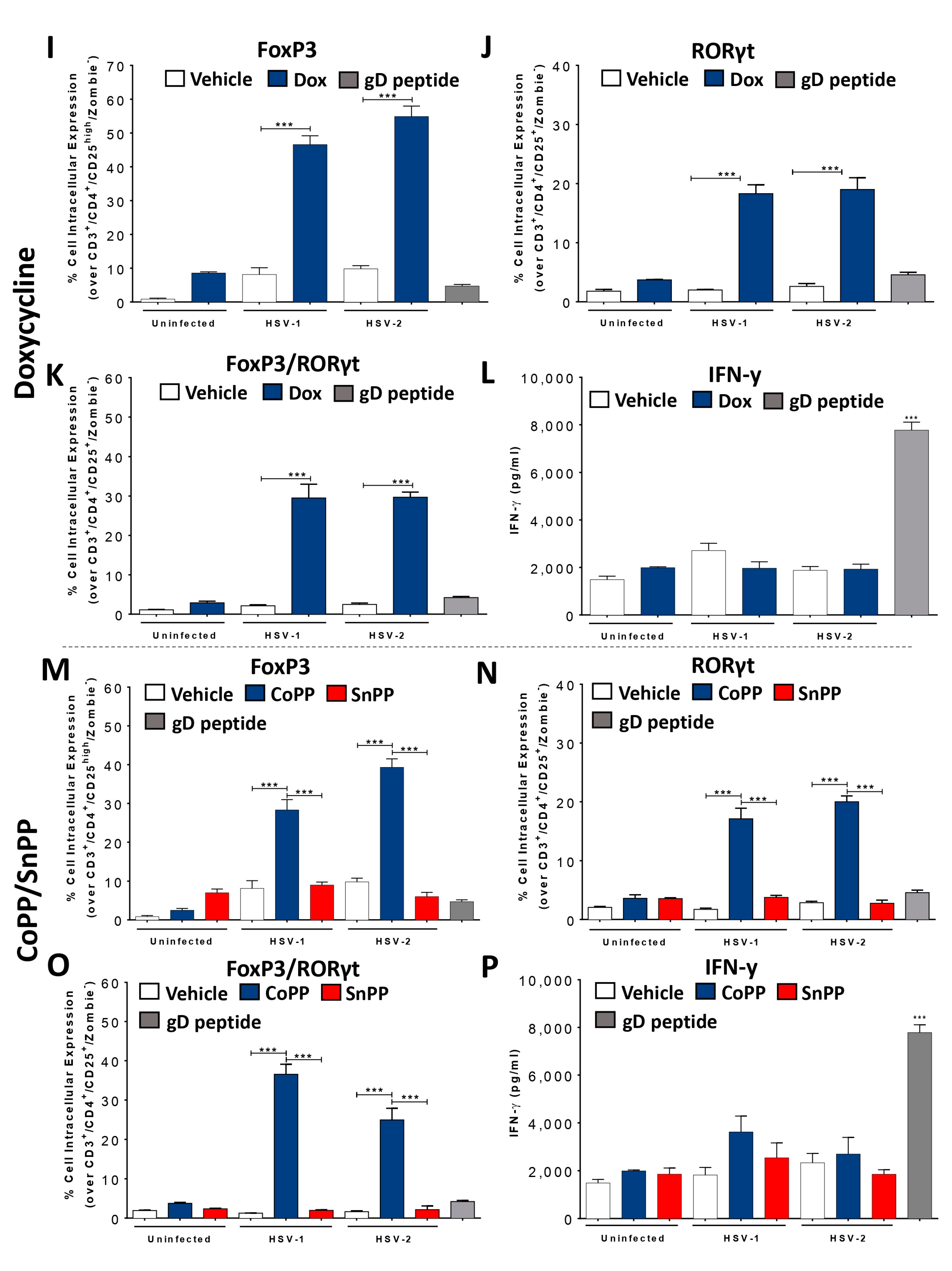 Antioxidants 12 01170 g003b Antioxidants 12 01170 g003b