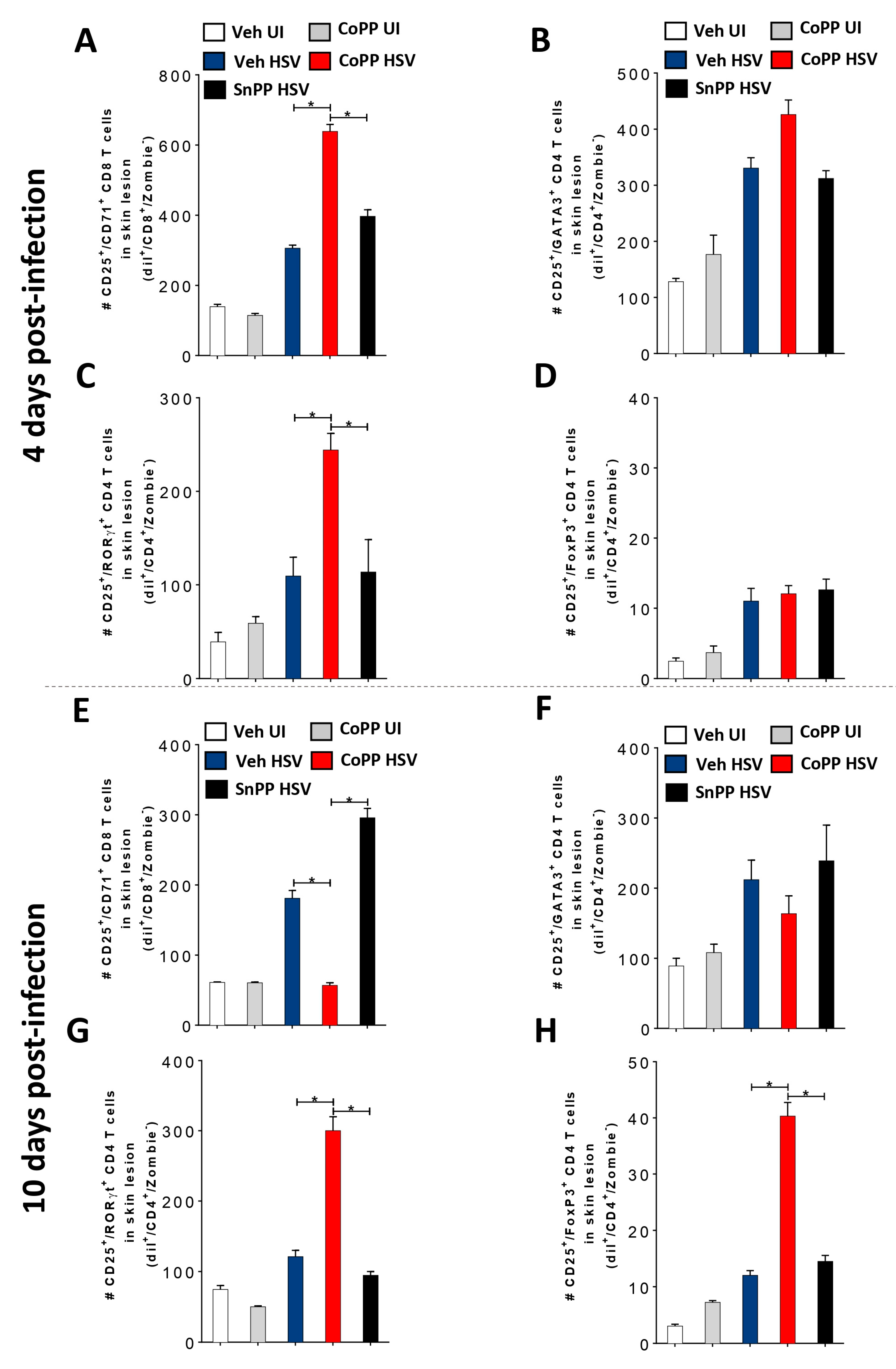Antioxidants 12 01170 g006 Antioxidants 12 01170 g006