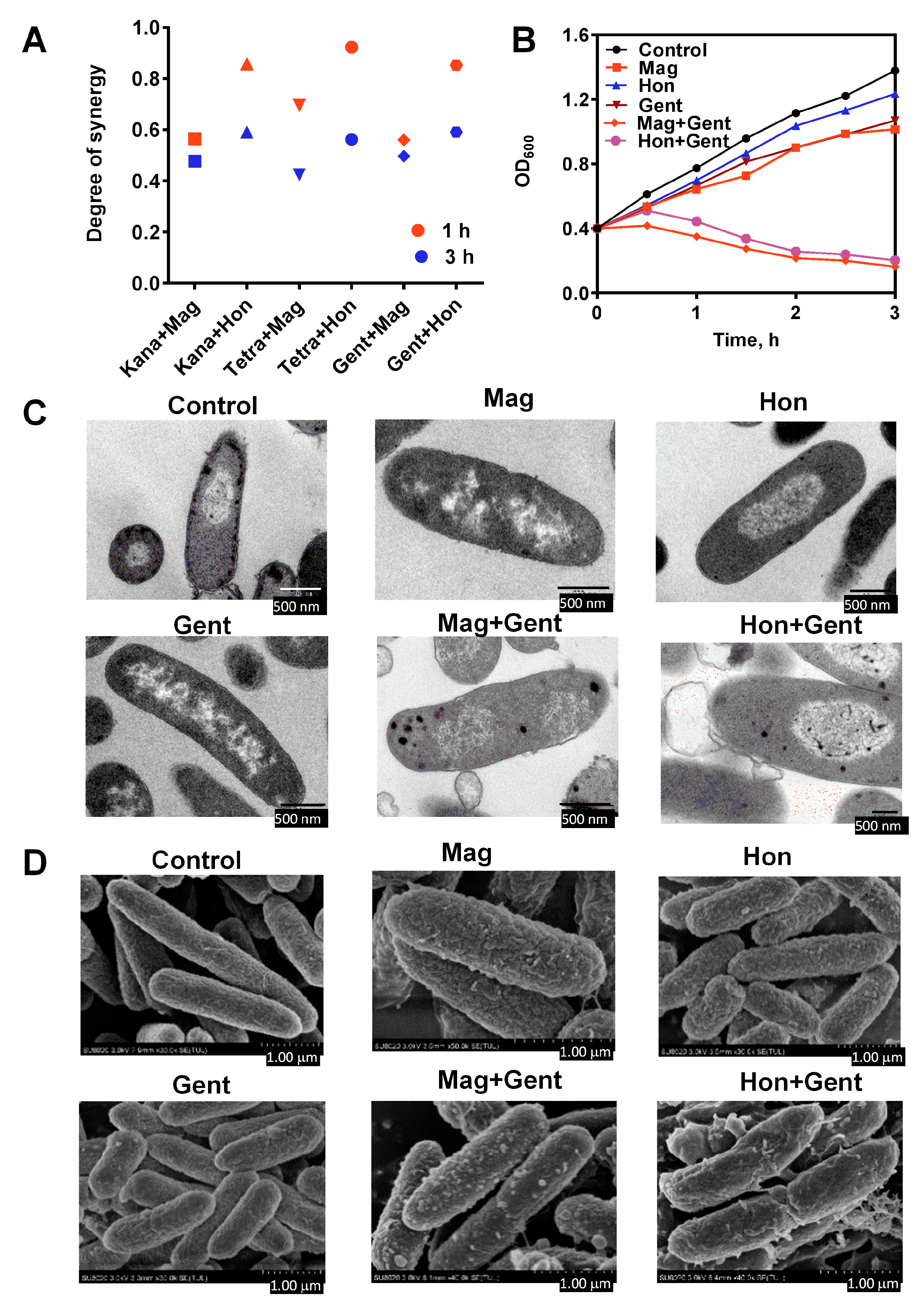 Antioxidants 12 01180 g008