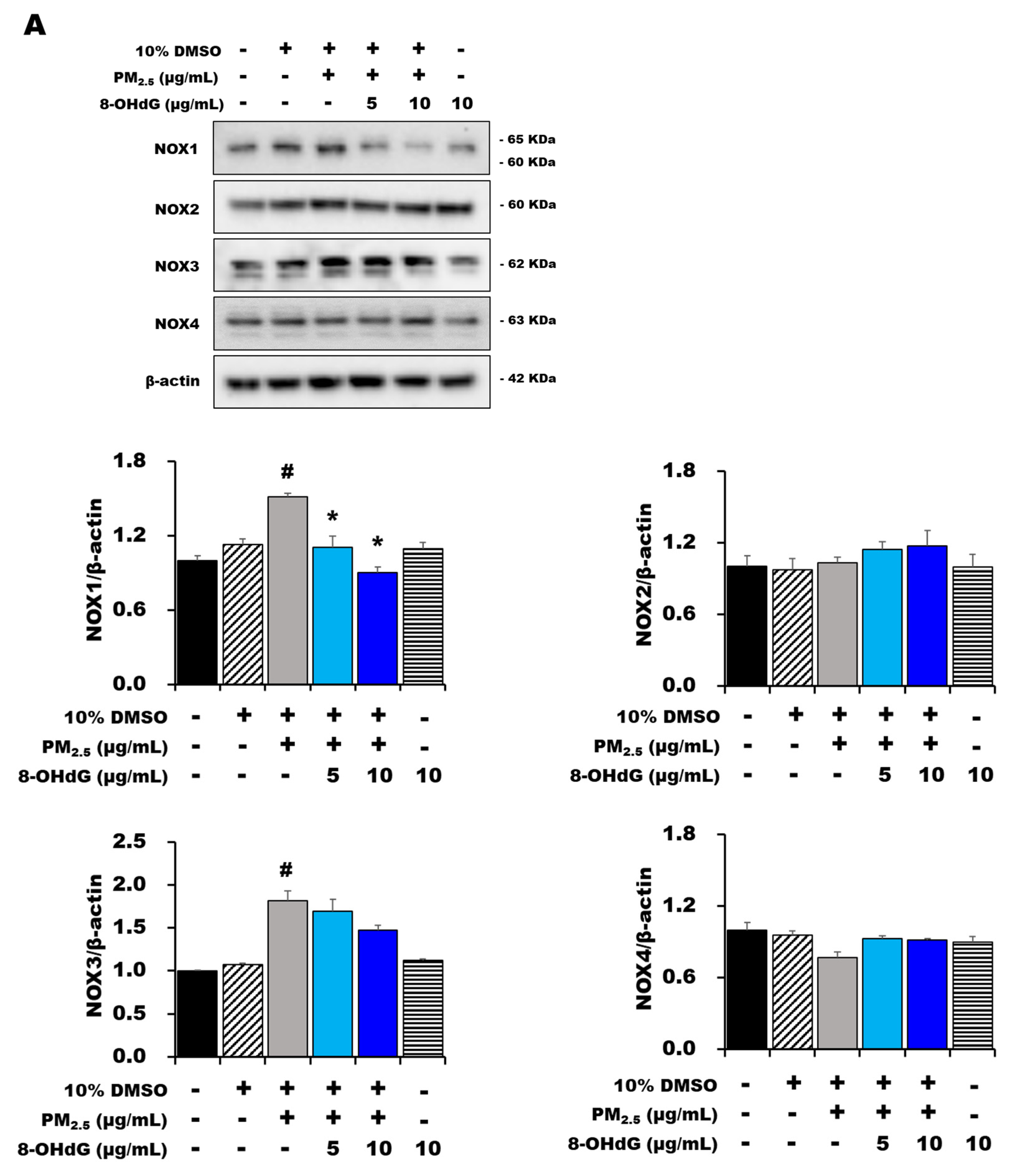 Antioxidants 12 01189 g004a