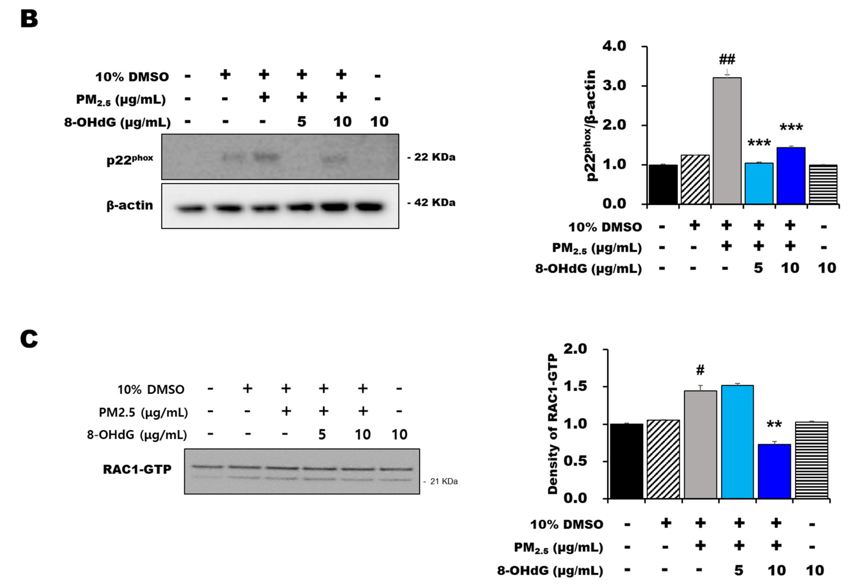 Antioxidants 12 01189 g004b
