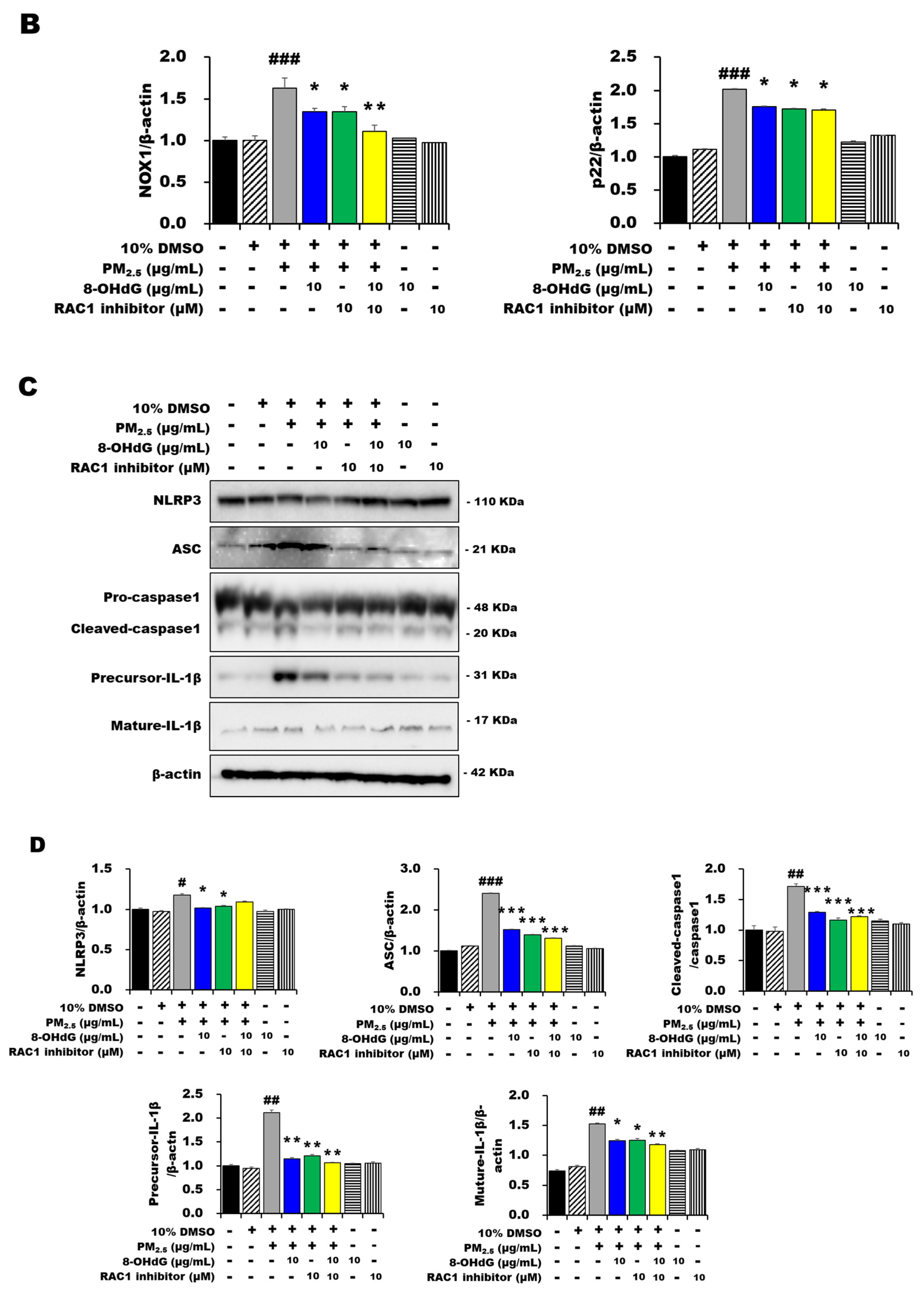 Antioxidants 12 01189 g005b