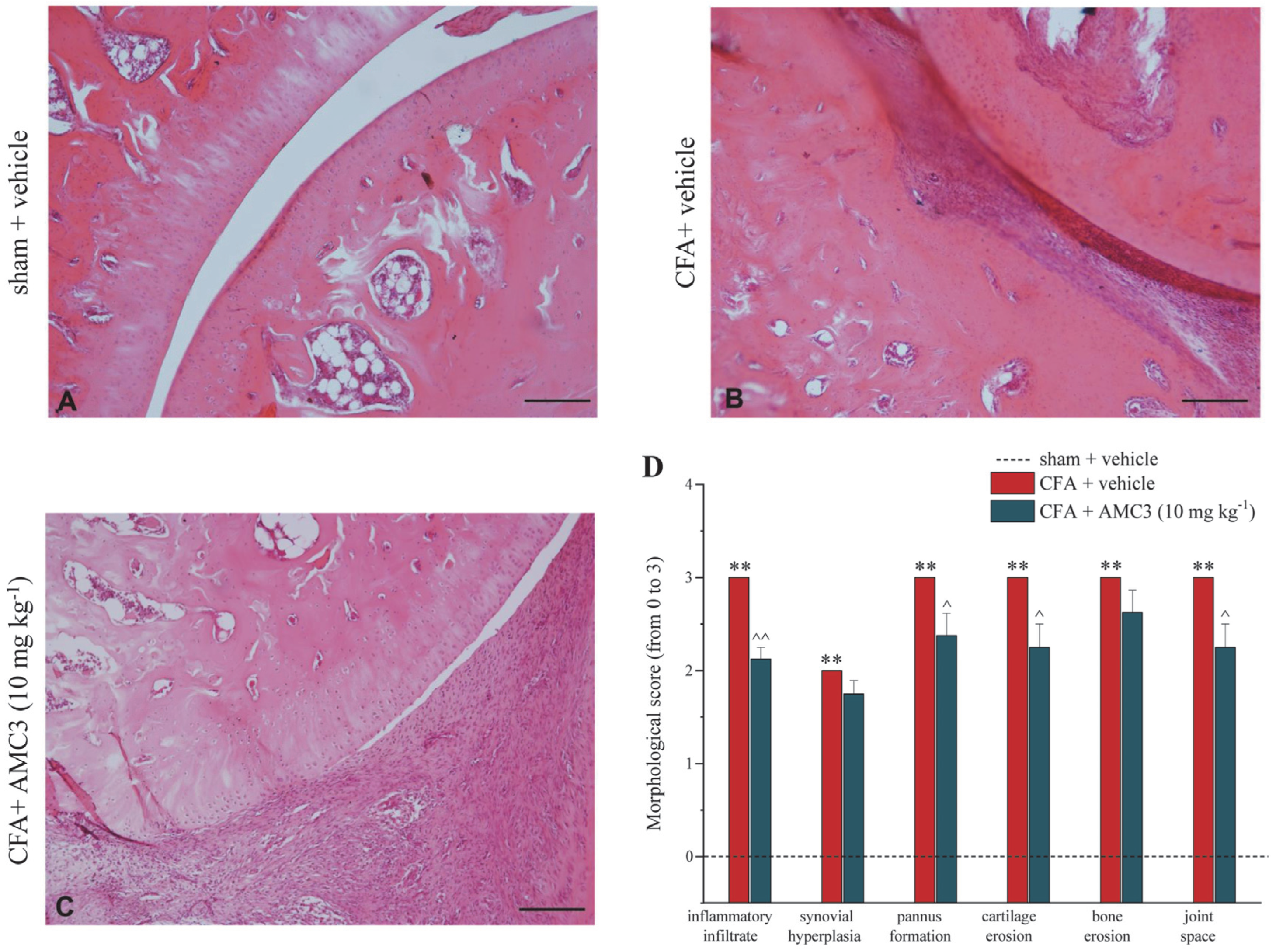 Antioxidants 12 01207 g006