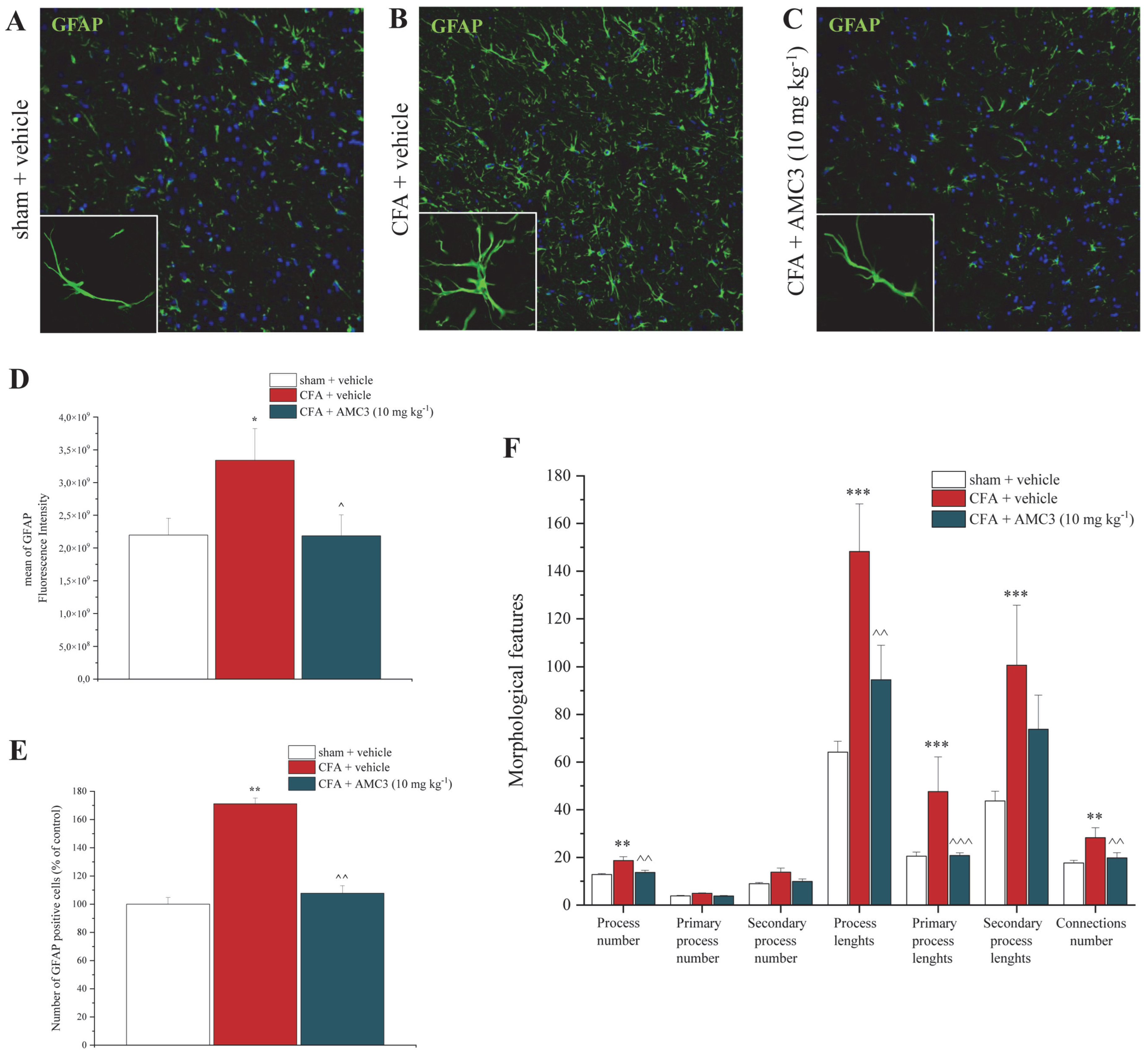 Antioxidants 12 01207 g008