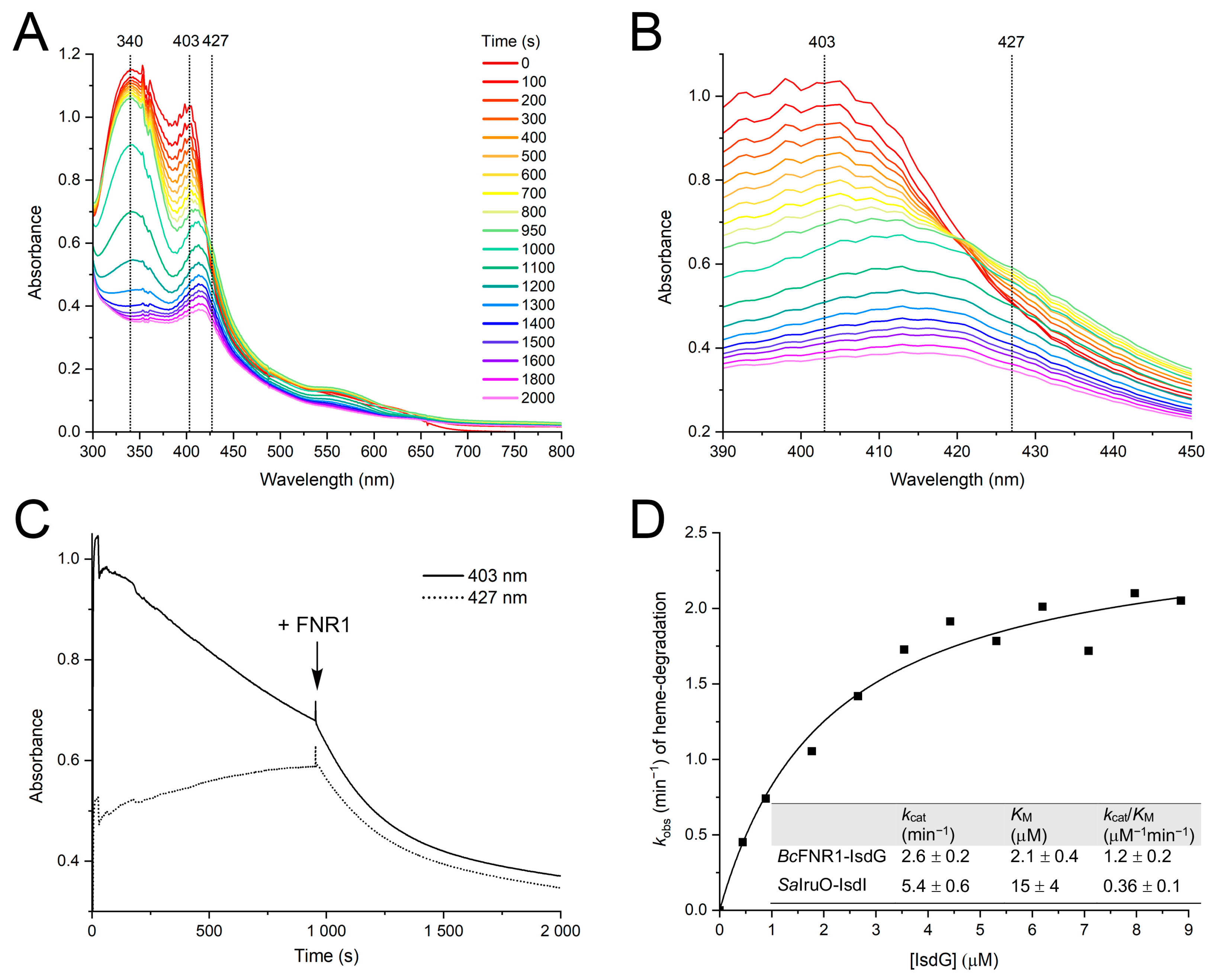 Antioxidants 12 01224 g002