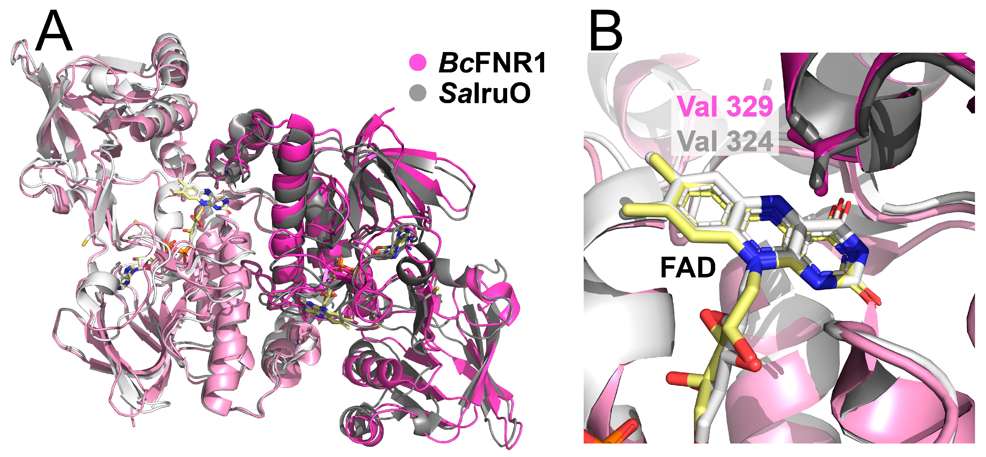Antioxidants 12 01224 g004