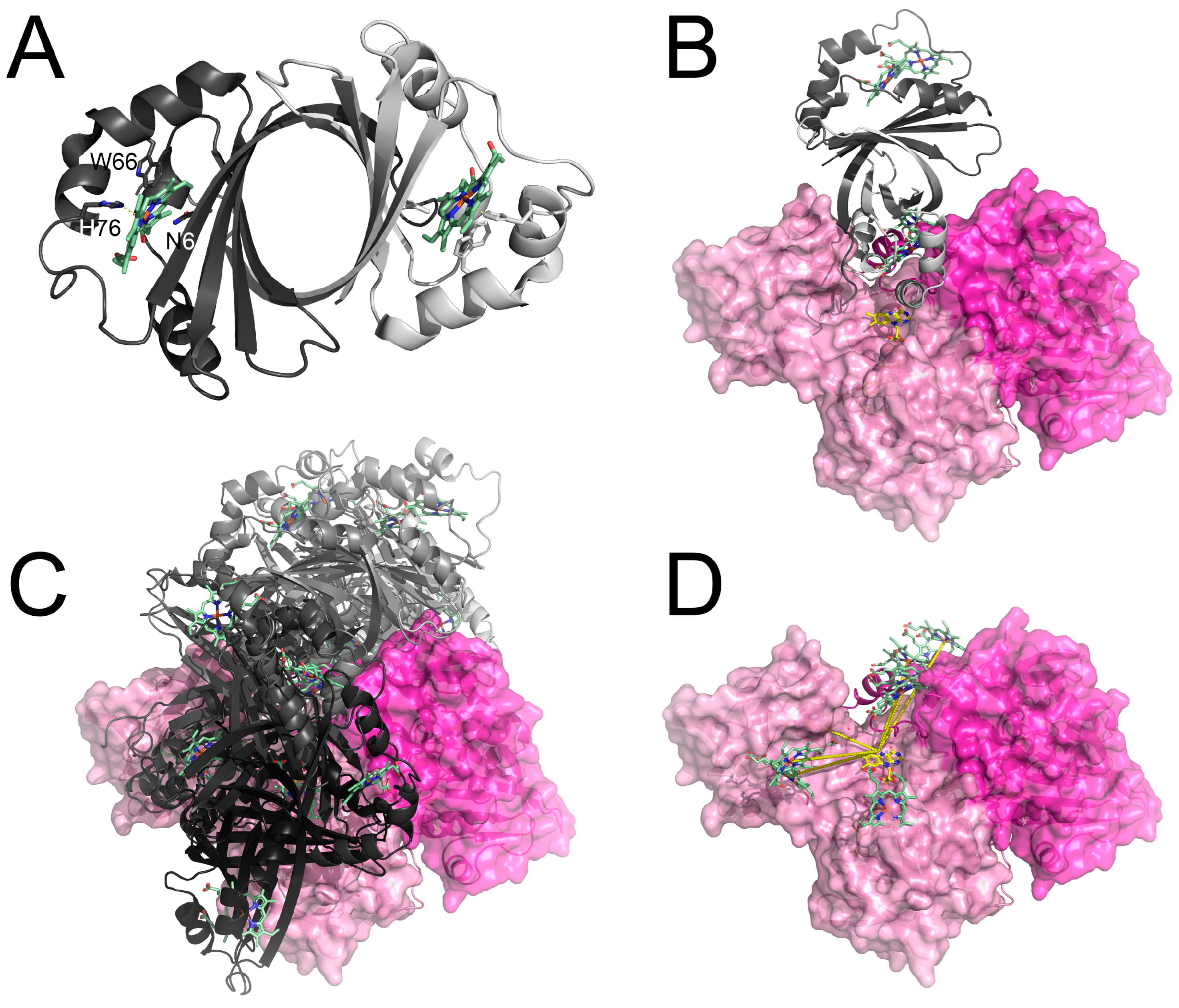 Antioxidants 12 01224 g005