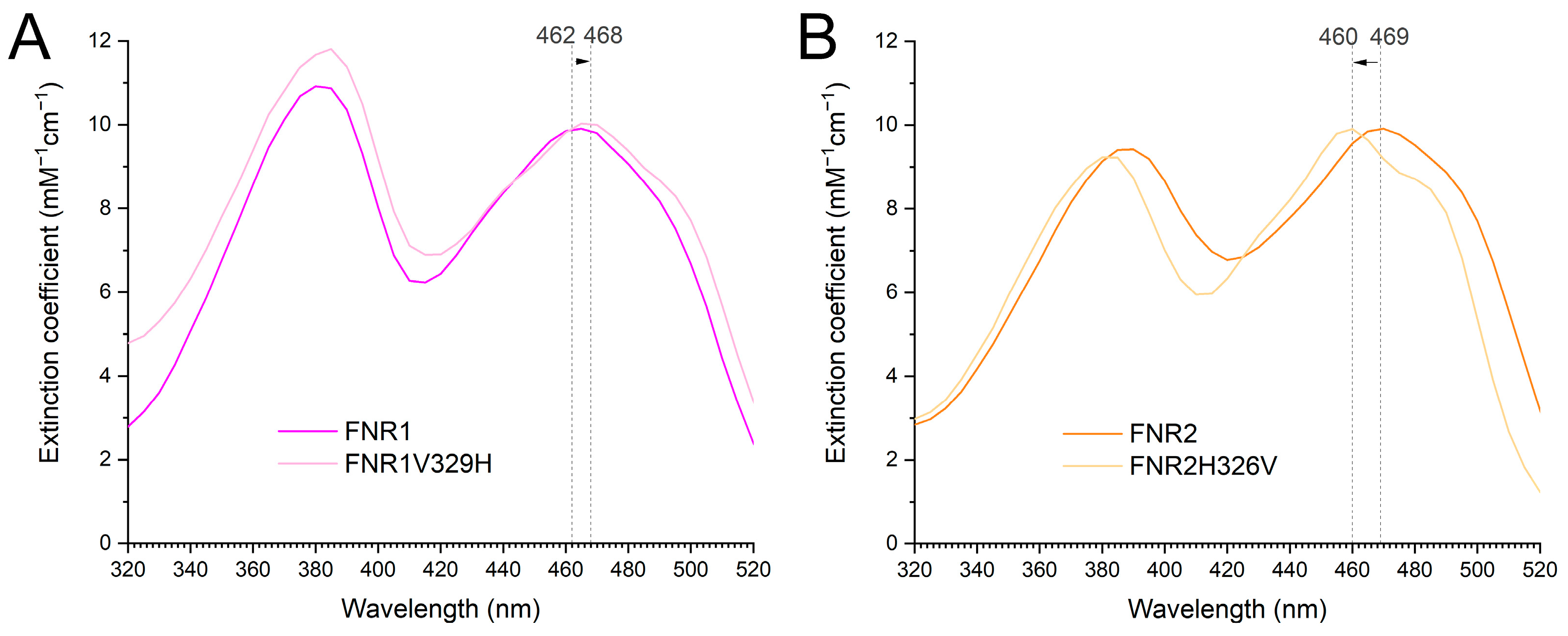 Antioxidants 12 01224 g007