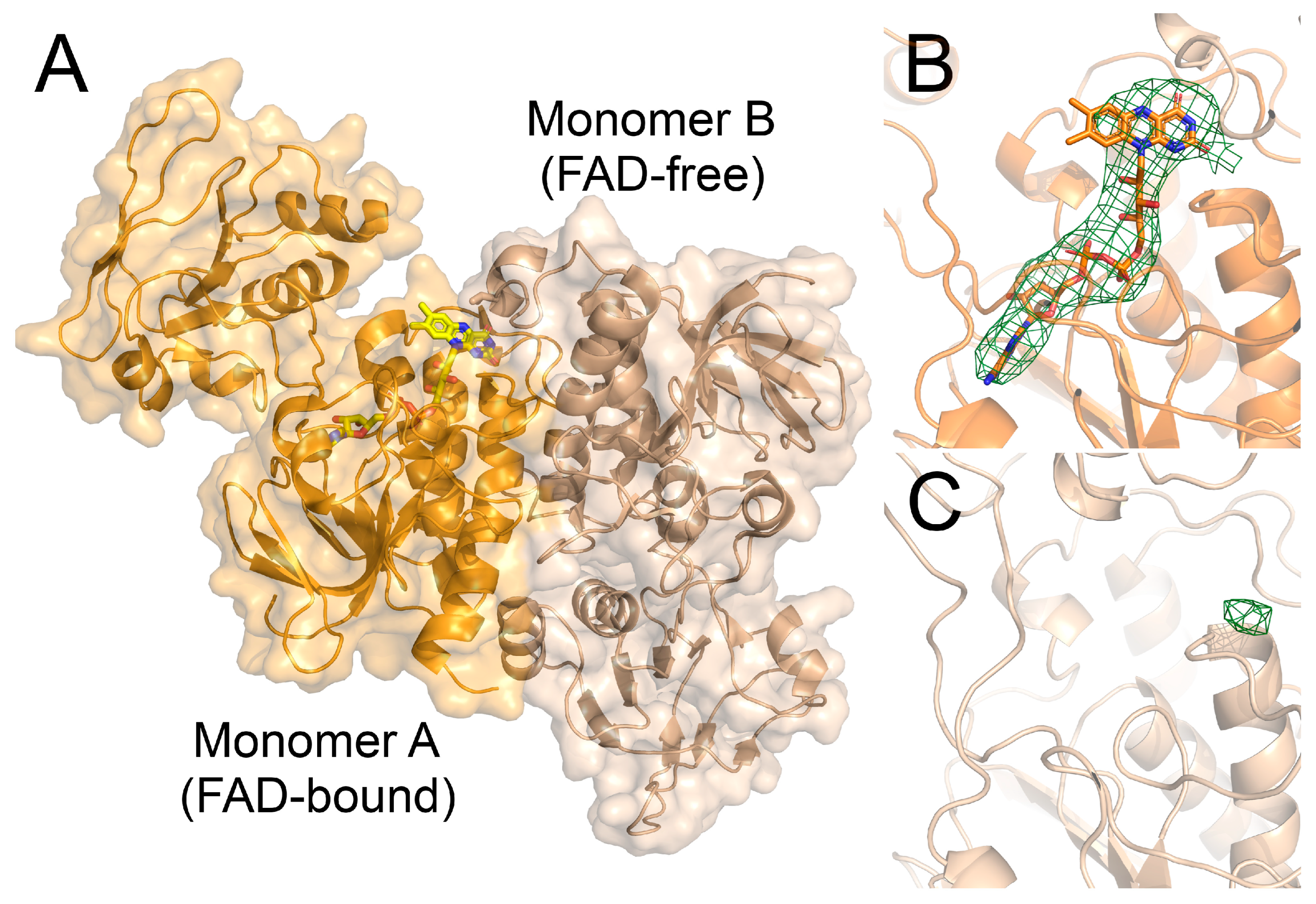 Antioxidants 12 01224 g008