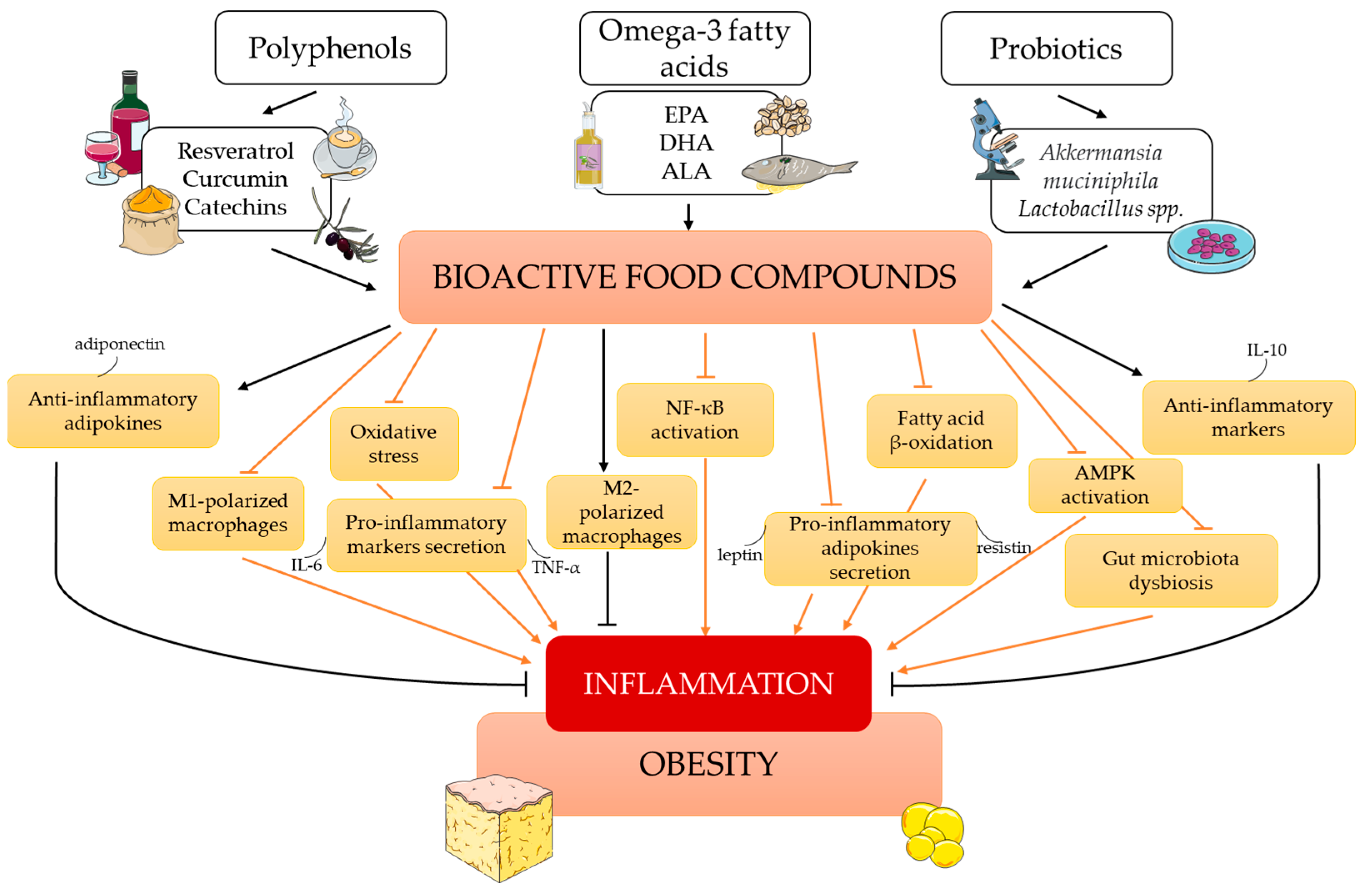 Antioxidants | Free Full-Text | The Preventive Mechanisms Of Bioactive ...