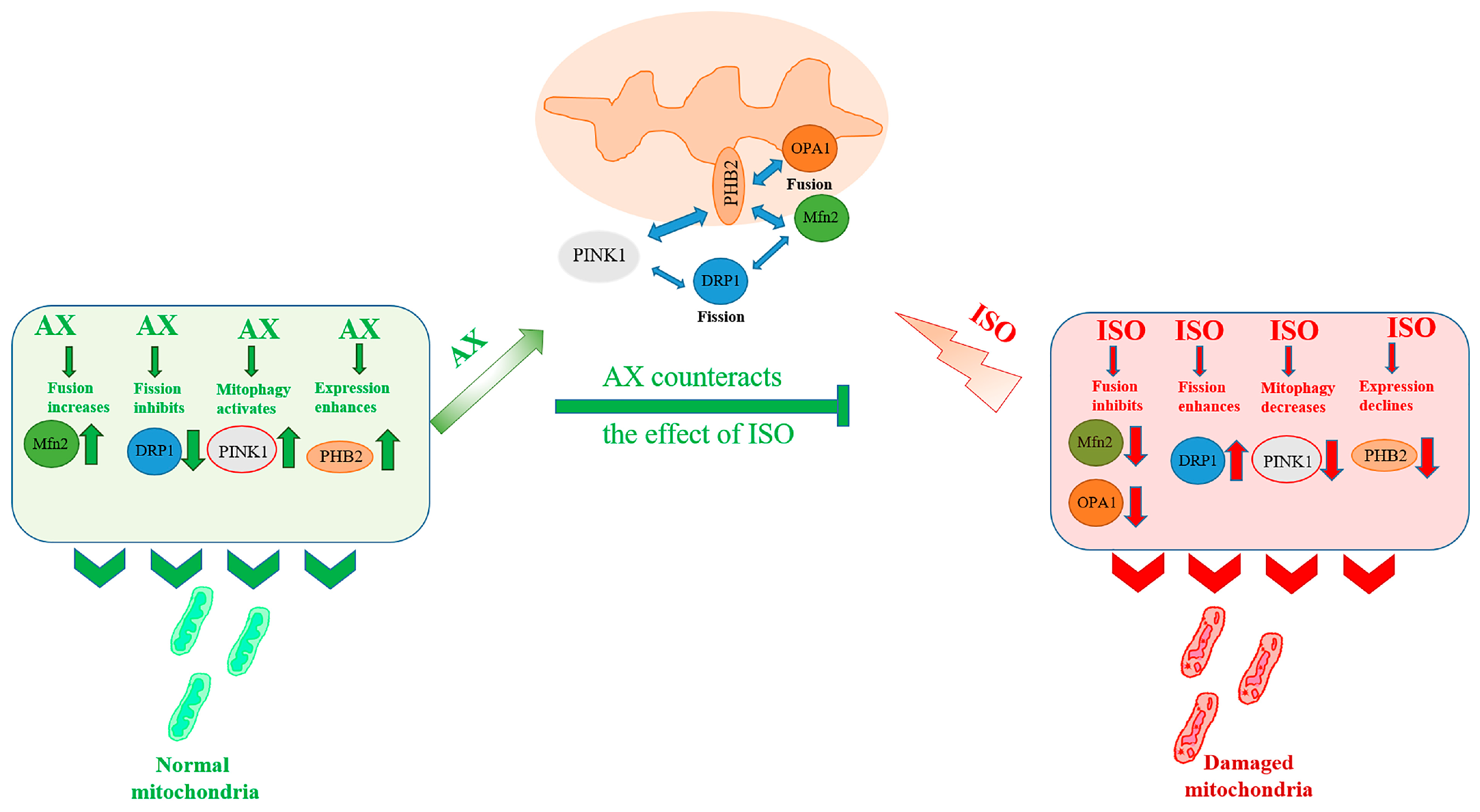 Antioxidants 12 01247 g006