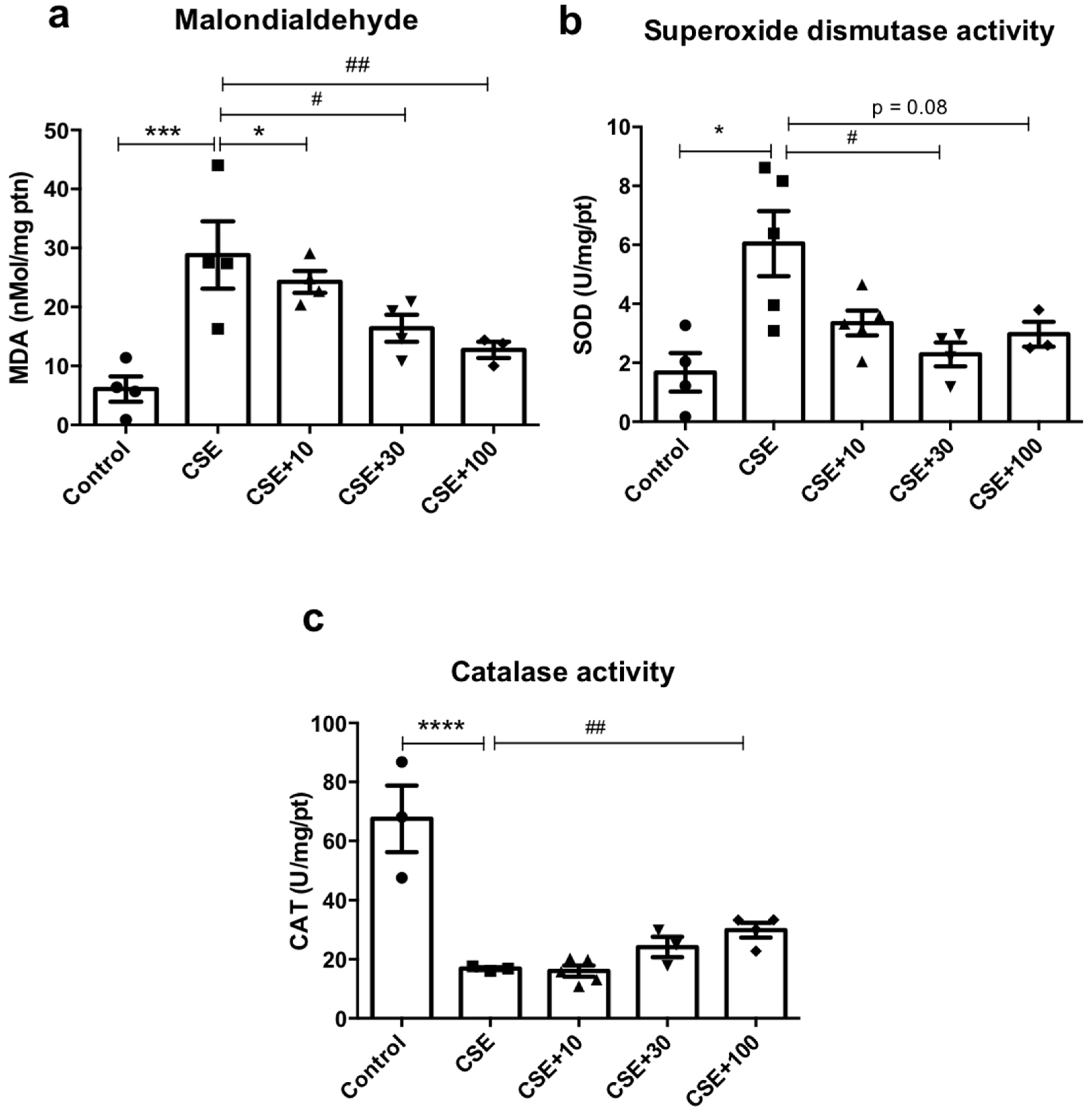 Antioxidants 12 01258 g006
