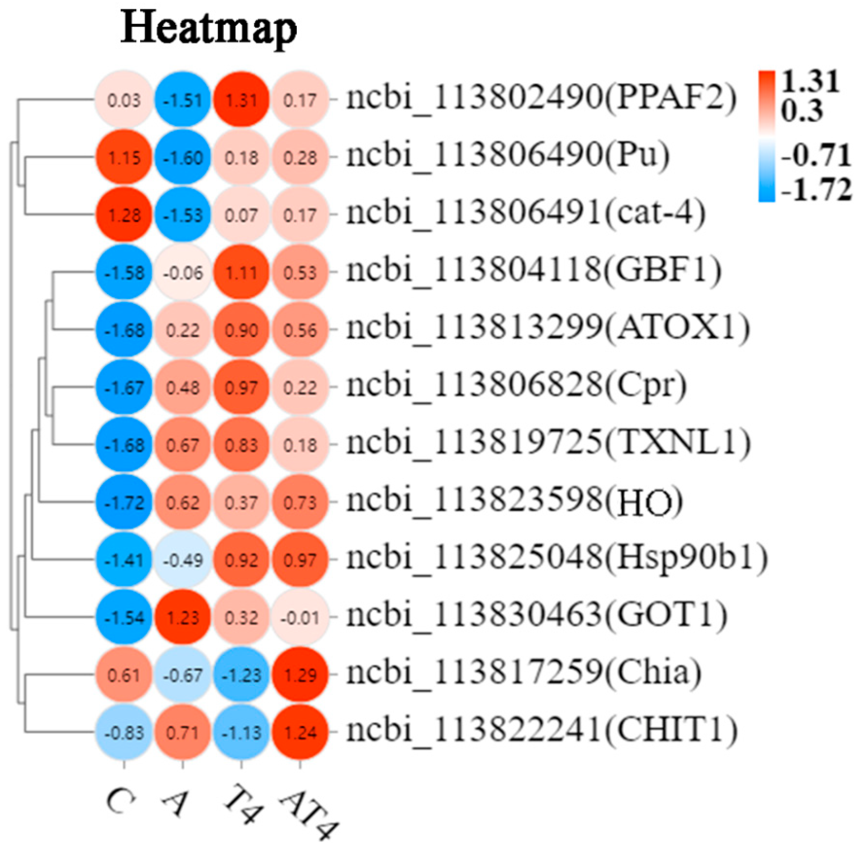 Antioxidants 12 01262 g004