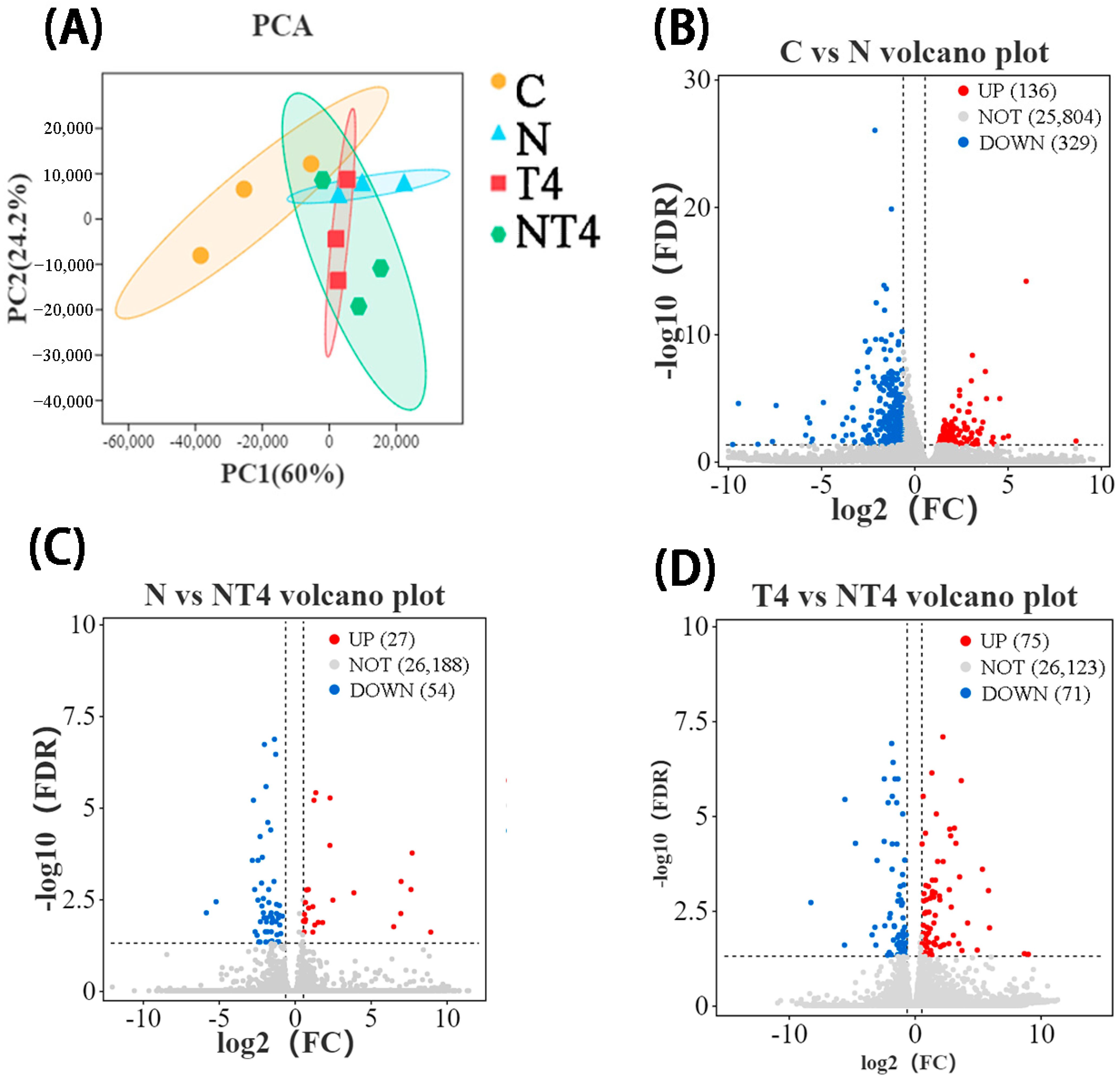 Antioxidants 12 01262 g007